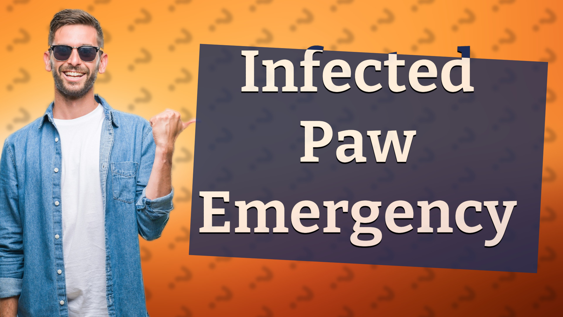 Infected Paw Emergency