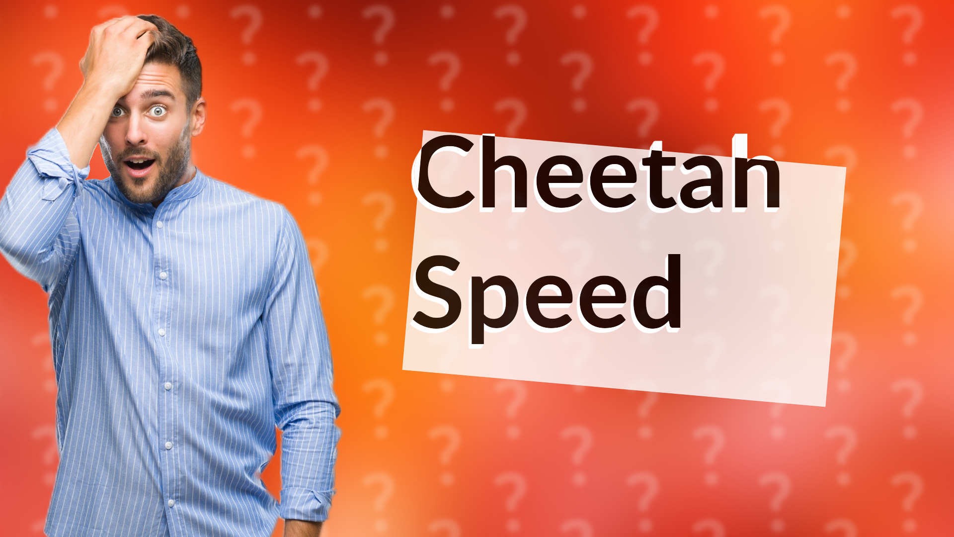 Cheetah Speed