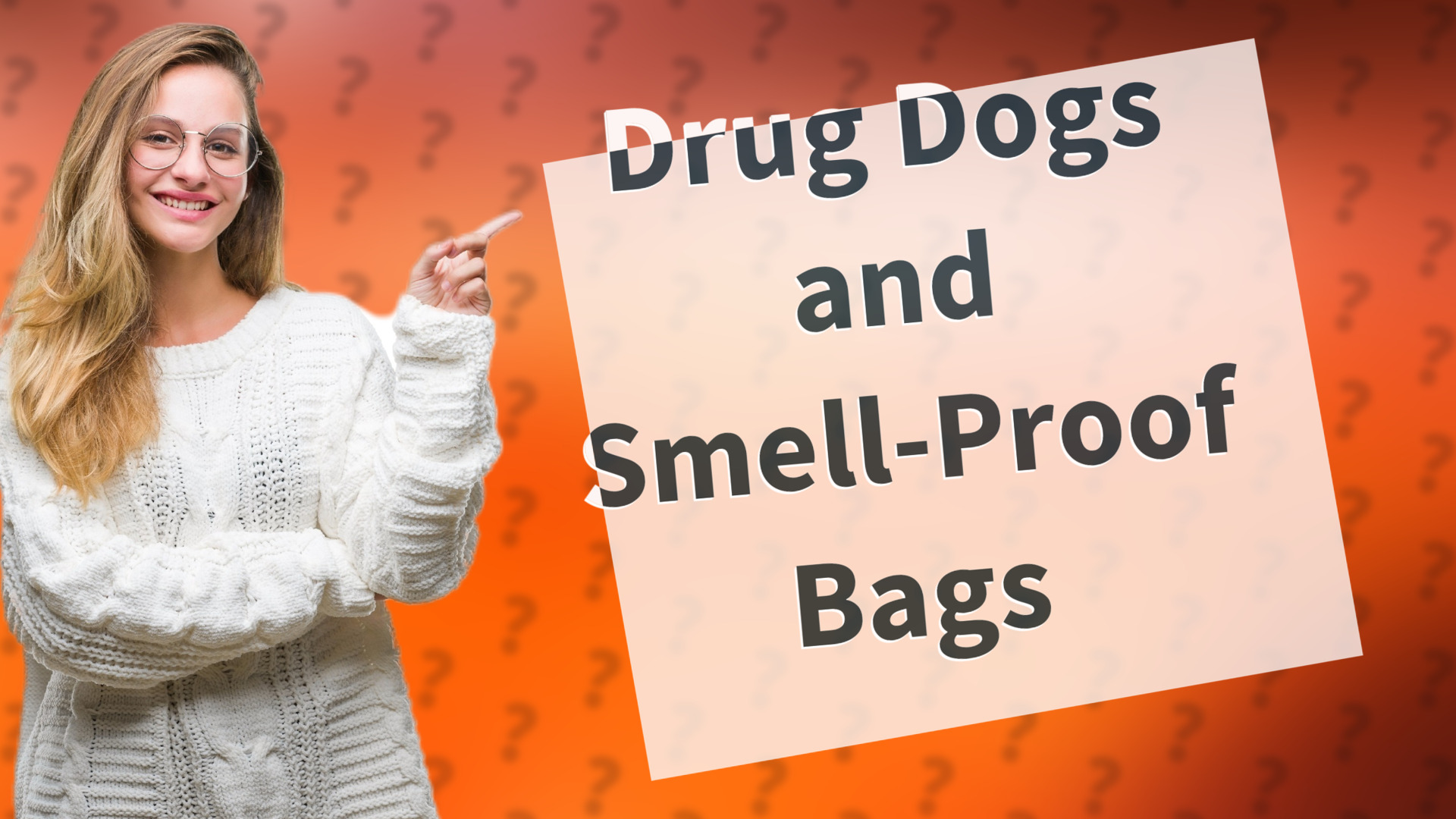 Drug Dogs and Smell-Proof Bags