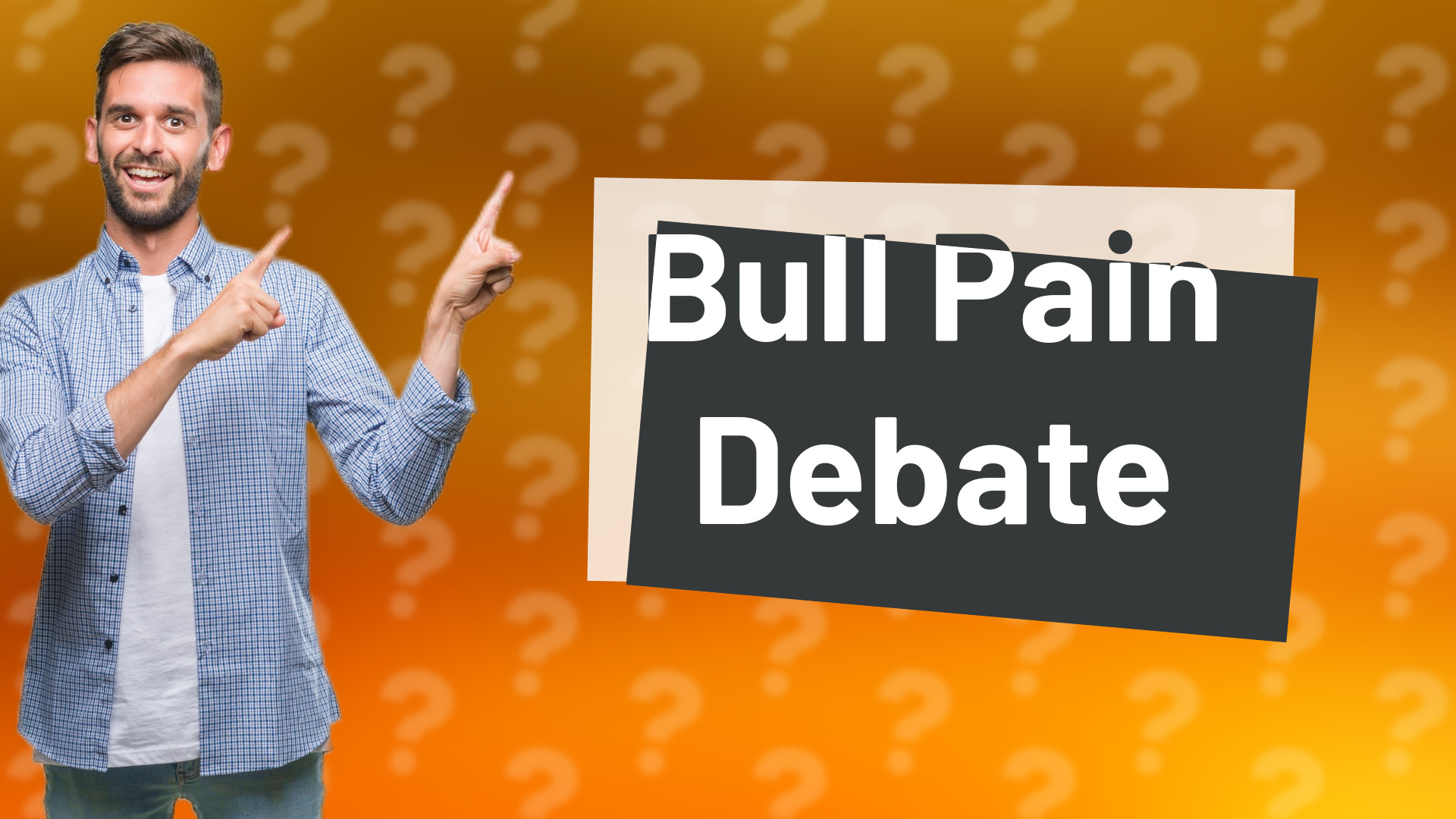 Bull Pain Debate