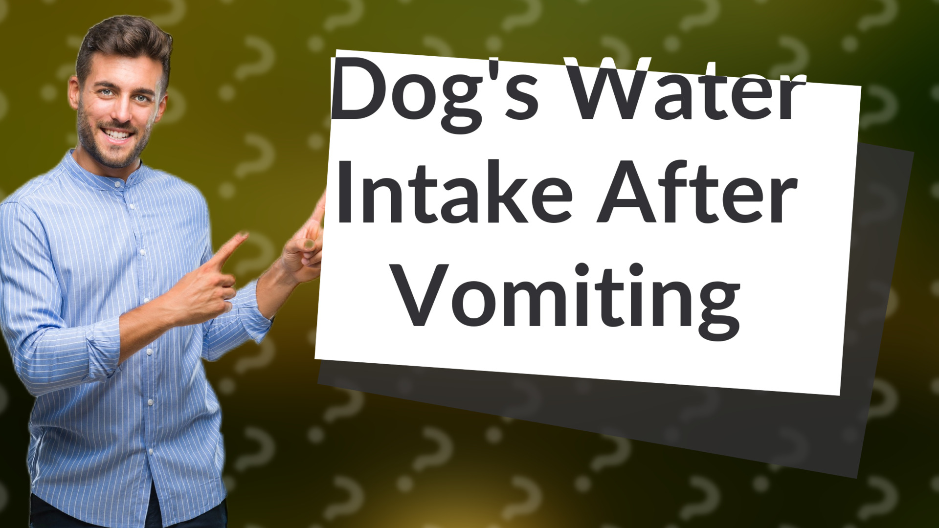 Dog's Water Intake After Vomiting