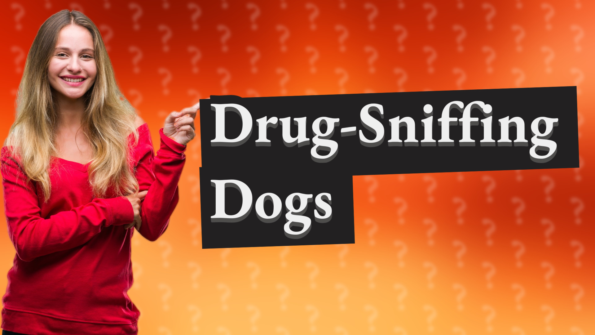 Drug-Sniffing Dogs