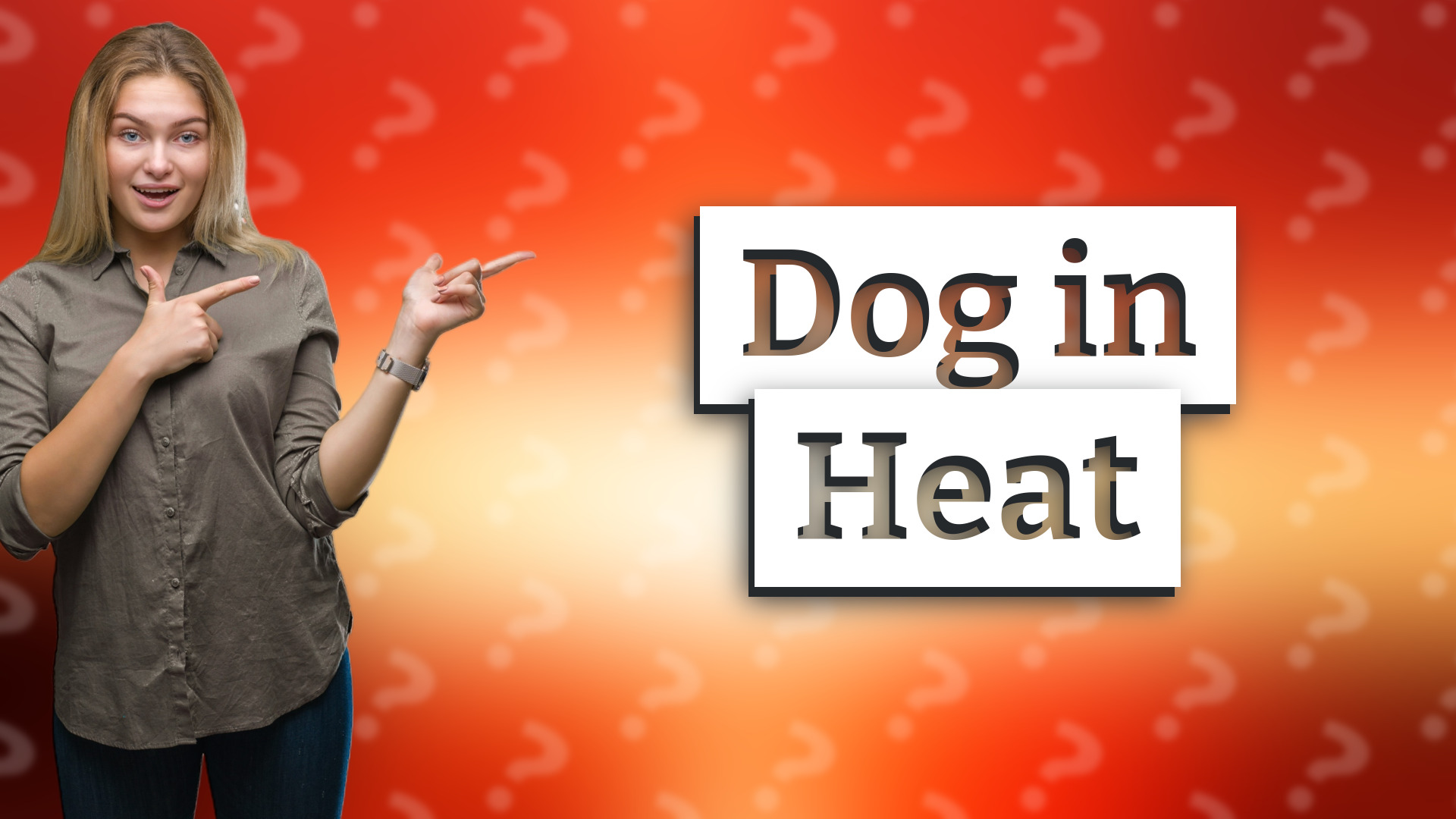 Dog in Heat