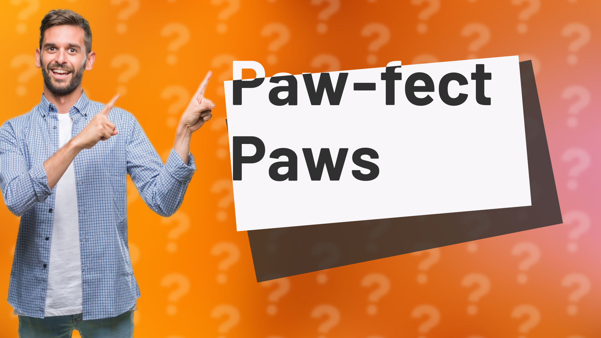 Paw-fect Paws