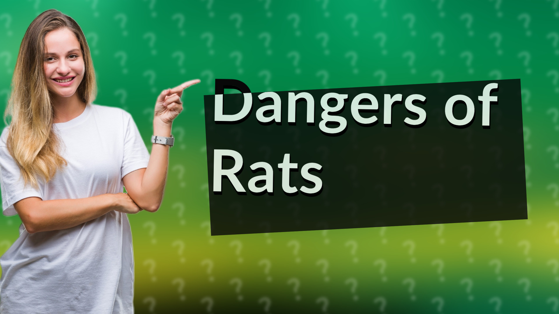 Dangers of Rats