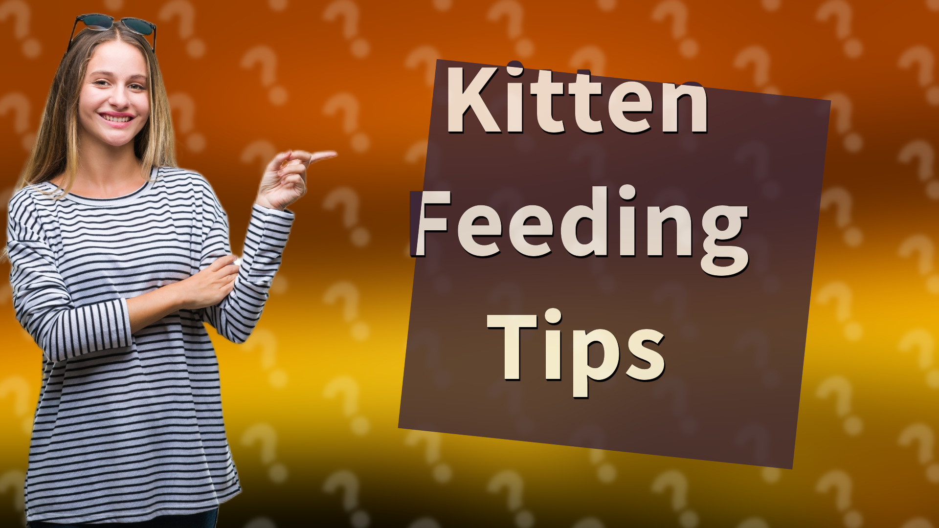 Kitten Feeding Tips