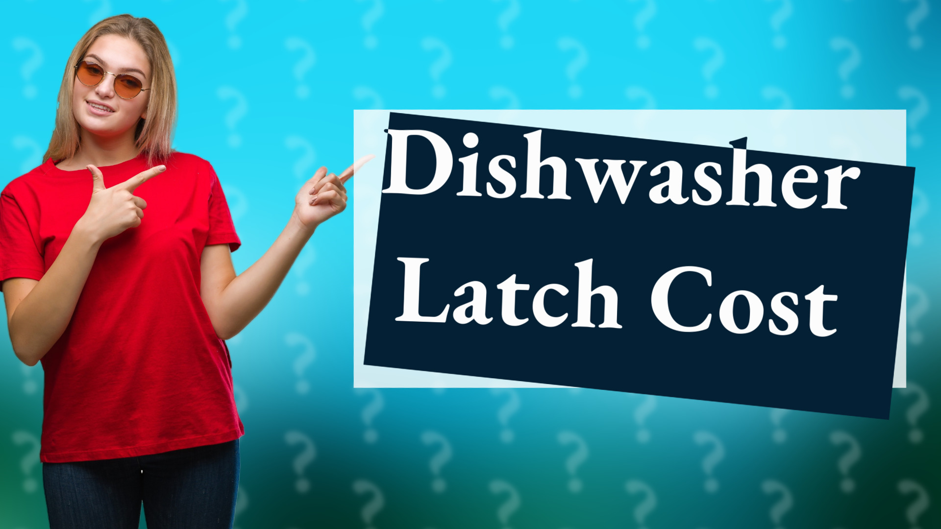 Dishwasher Latch Cost