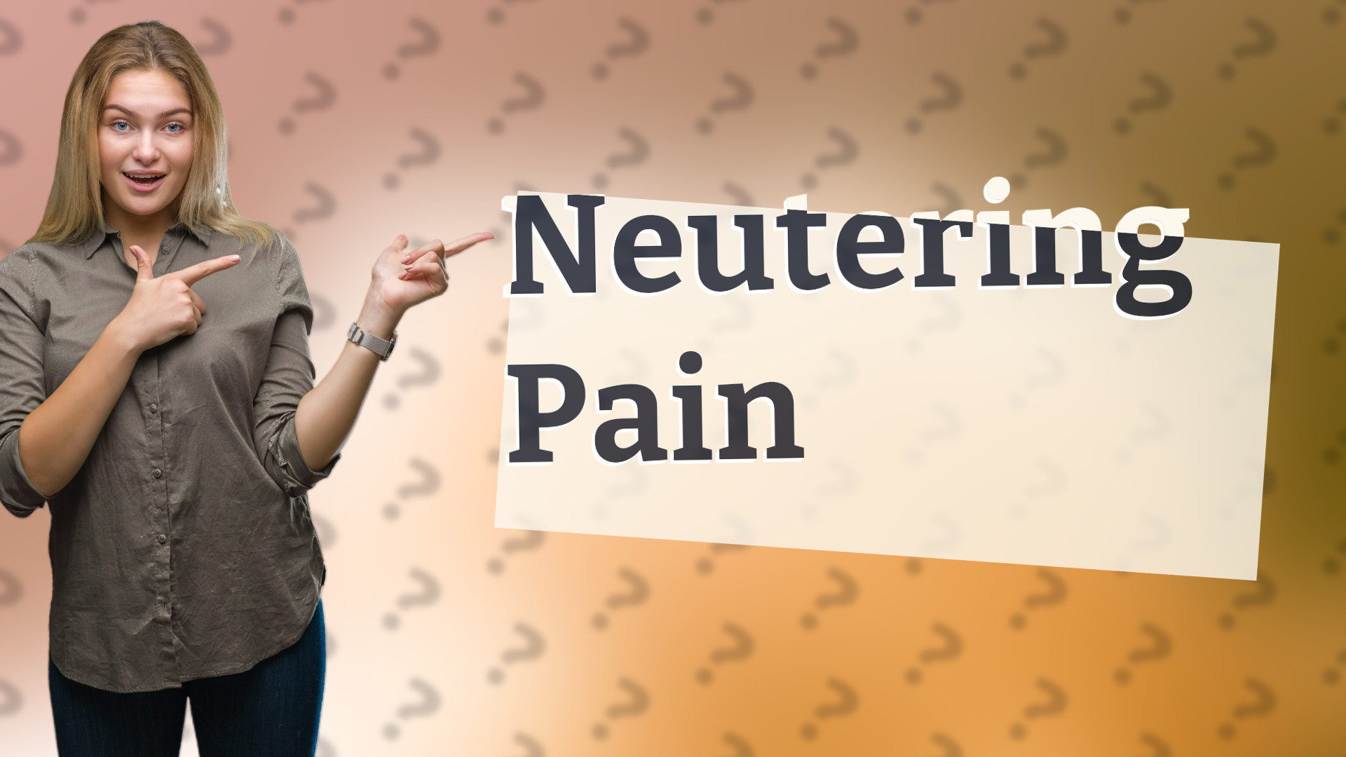 Neutering Pain