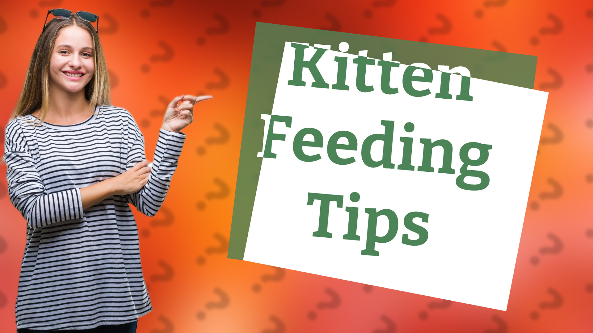 Kitten Feeding Tips
