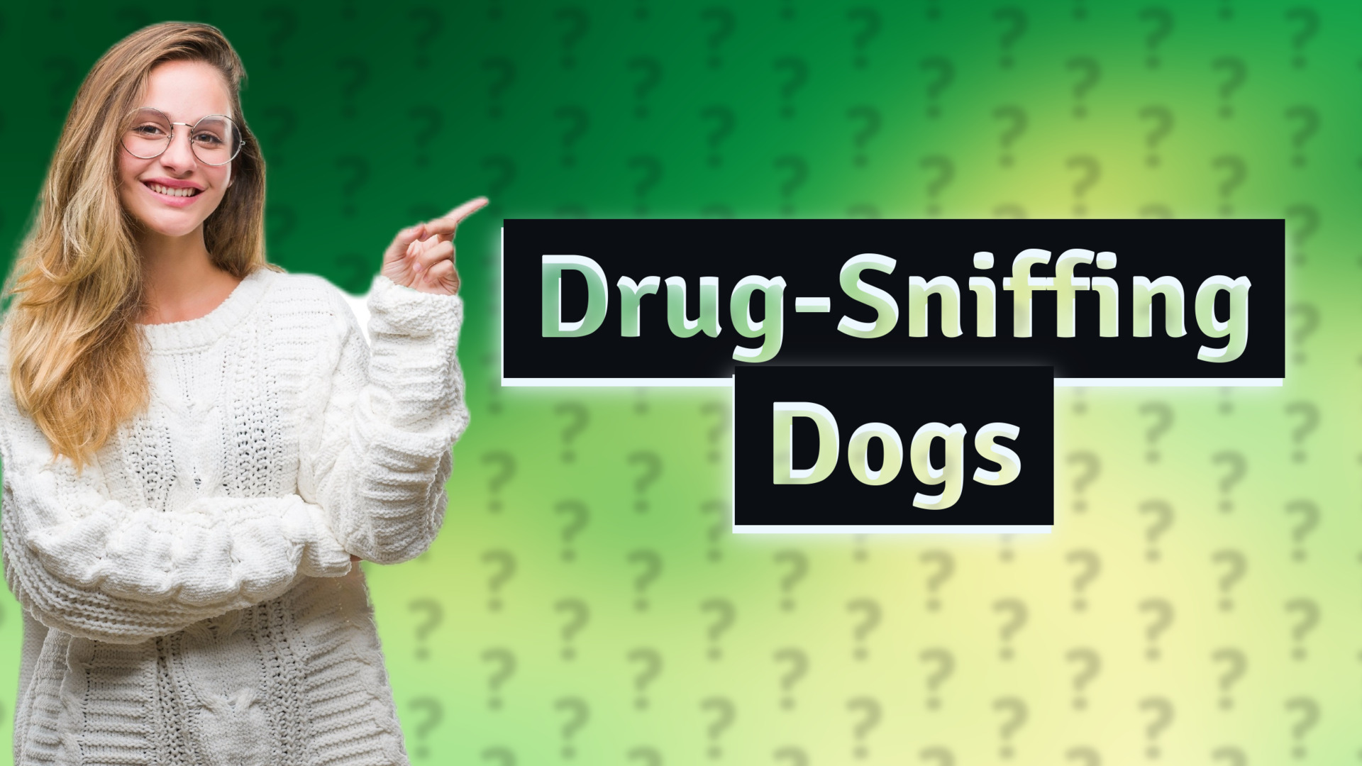 Drug-Sniffing Dogs