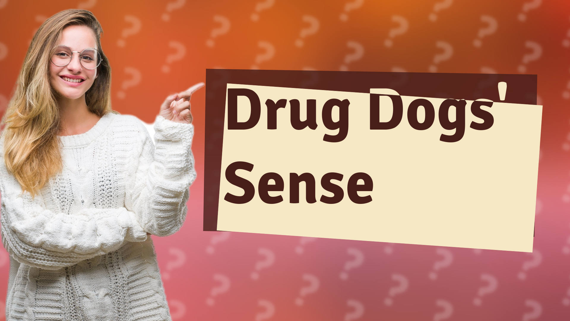 Drug Dogs' Sense