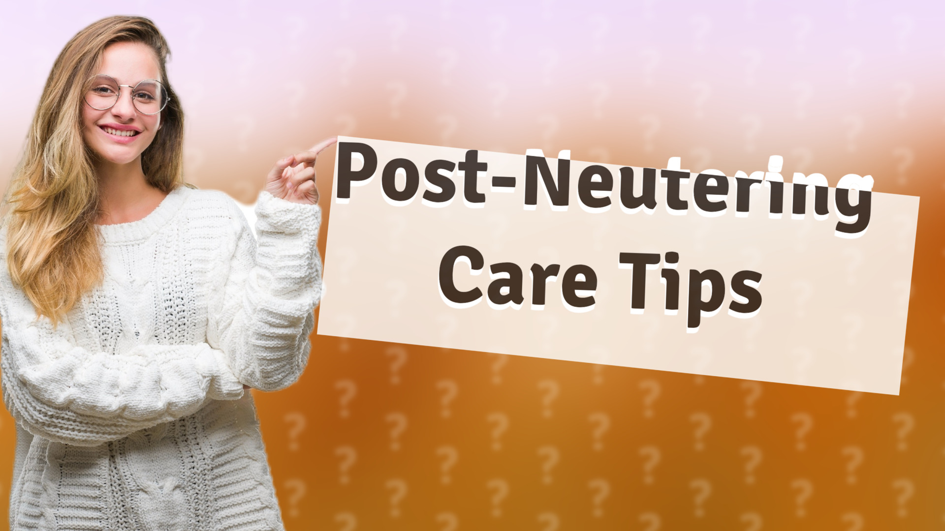 Post-Neutering Care Tips