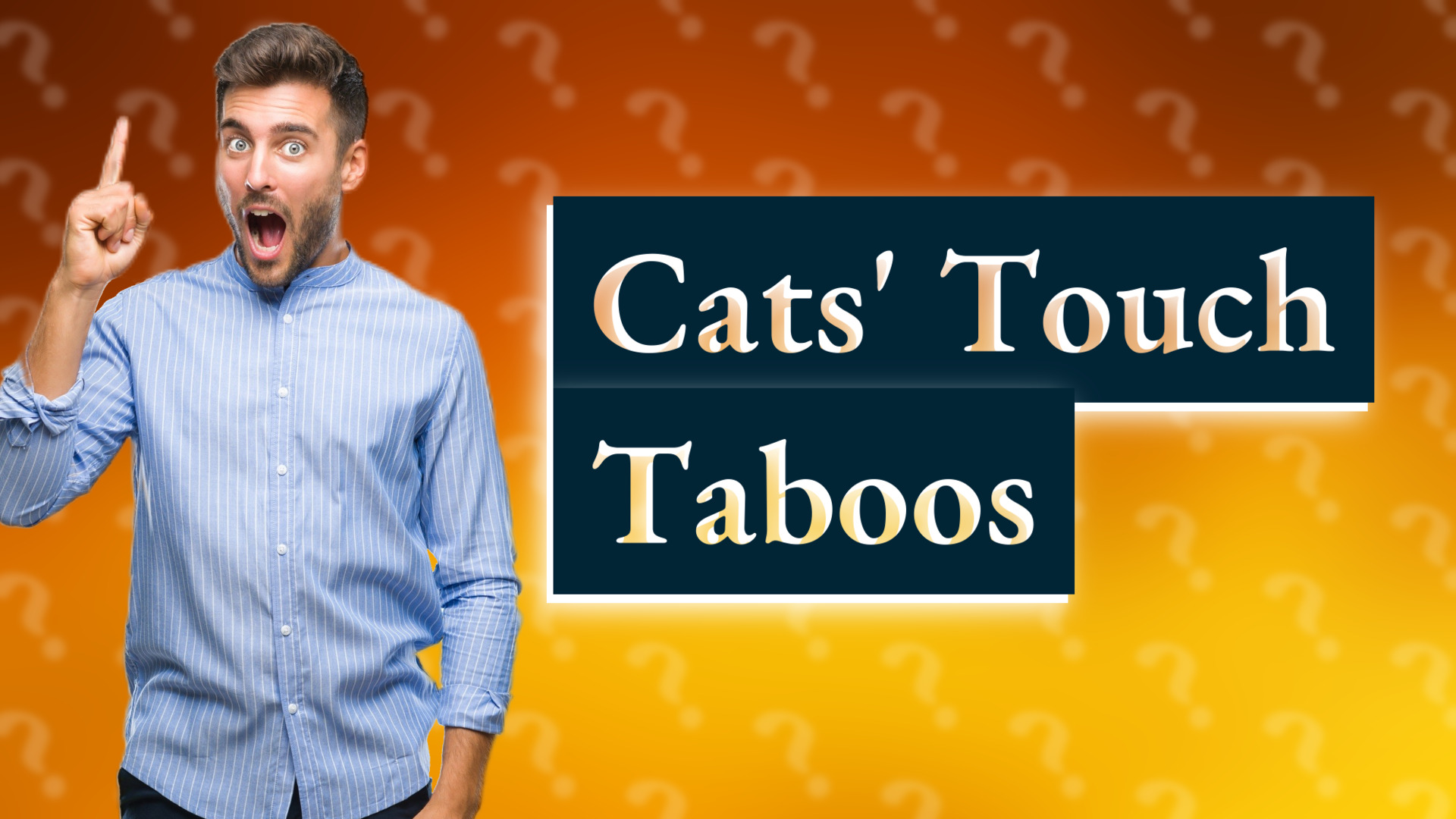 Cats' Touch Taboos