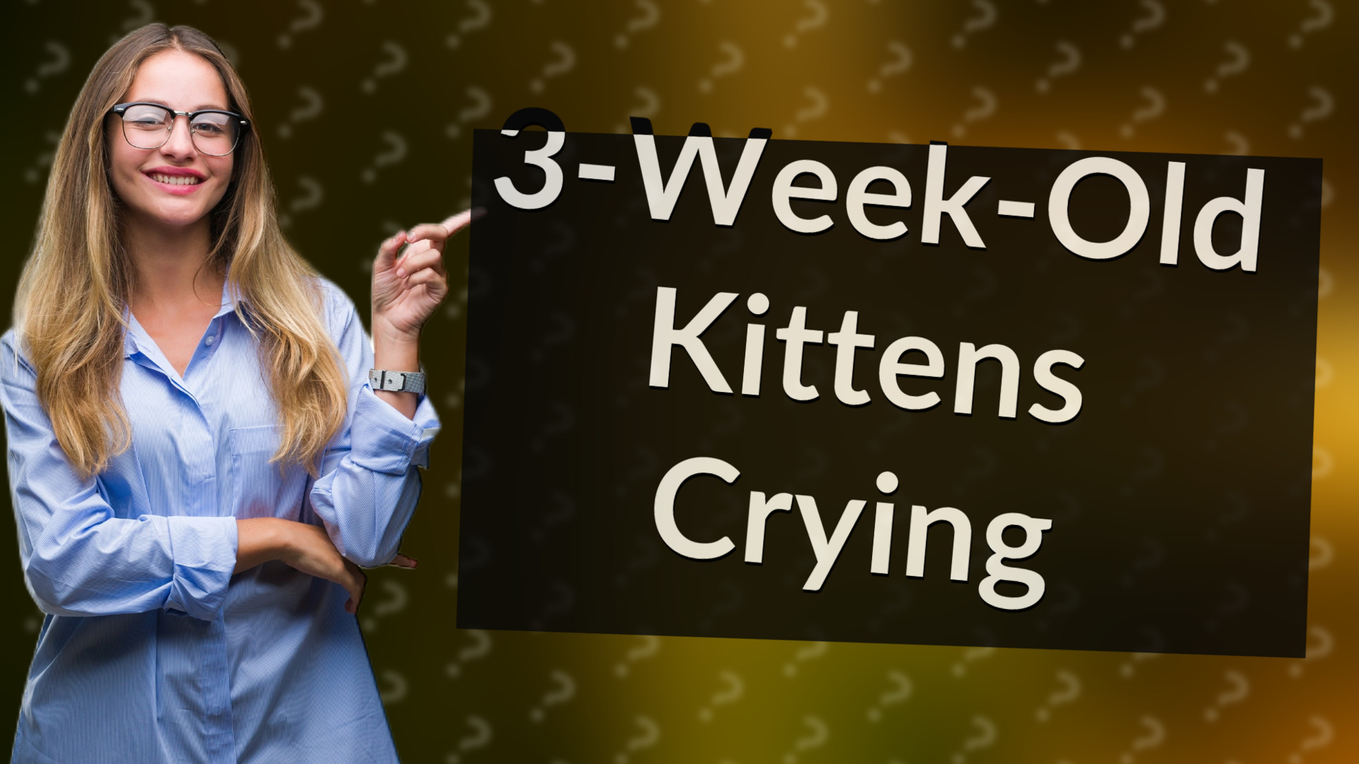 3-Week-Old Kittens Crying