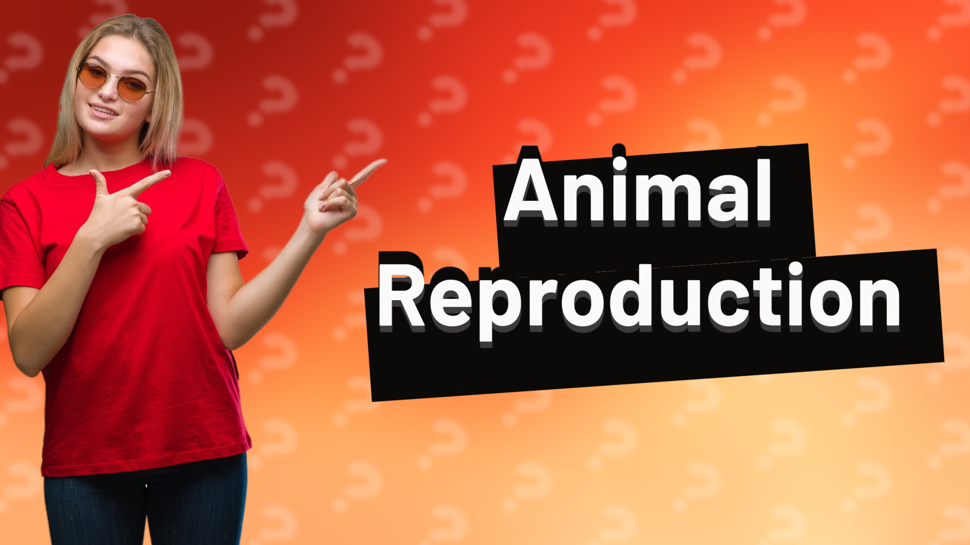 Animal Reproduction