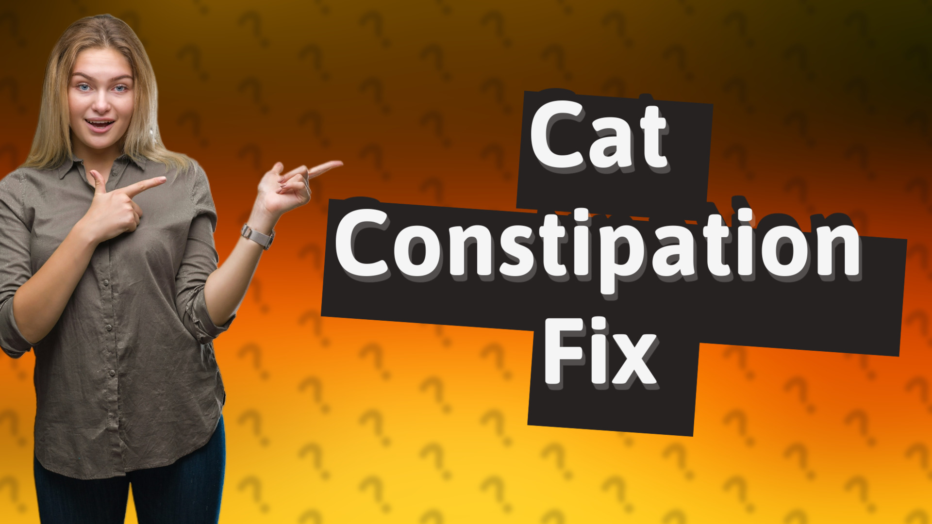 Cat Constipation Fix