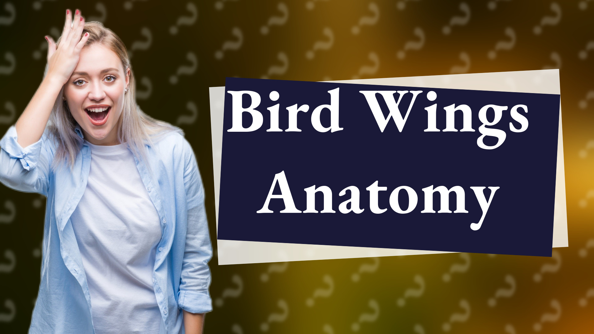 Bird Wings Anatomy