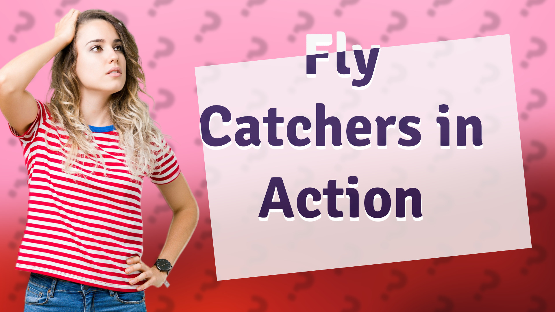 Fly Catchers in Action