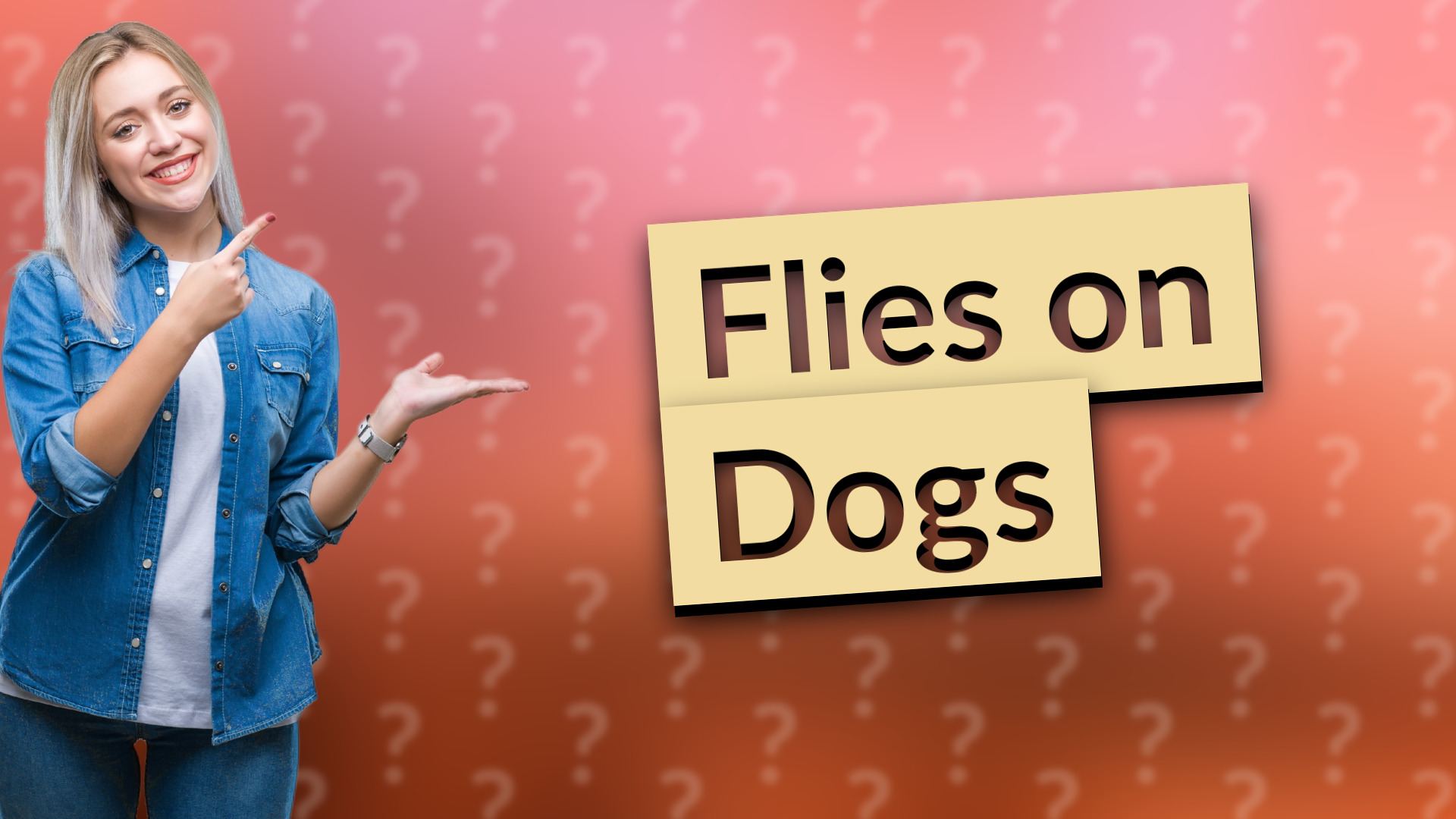 Flies on Dogs