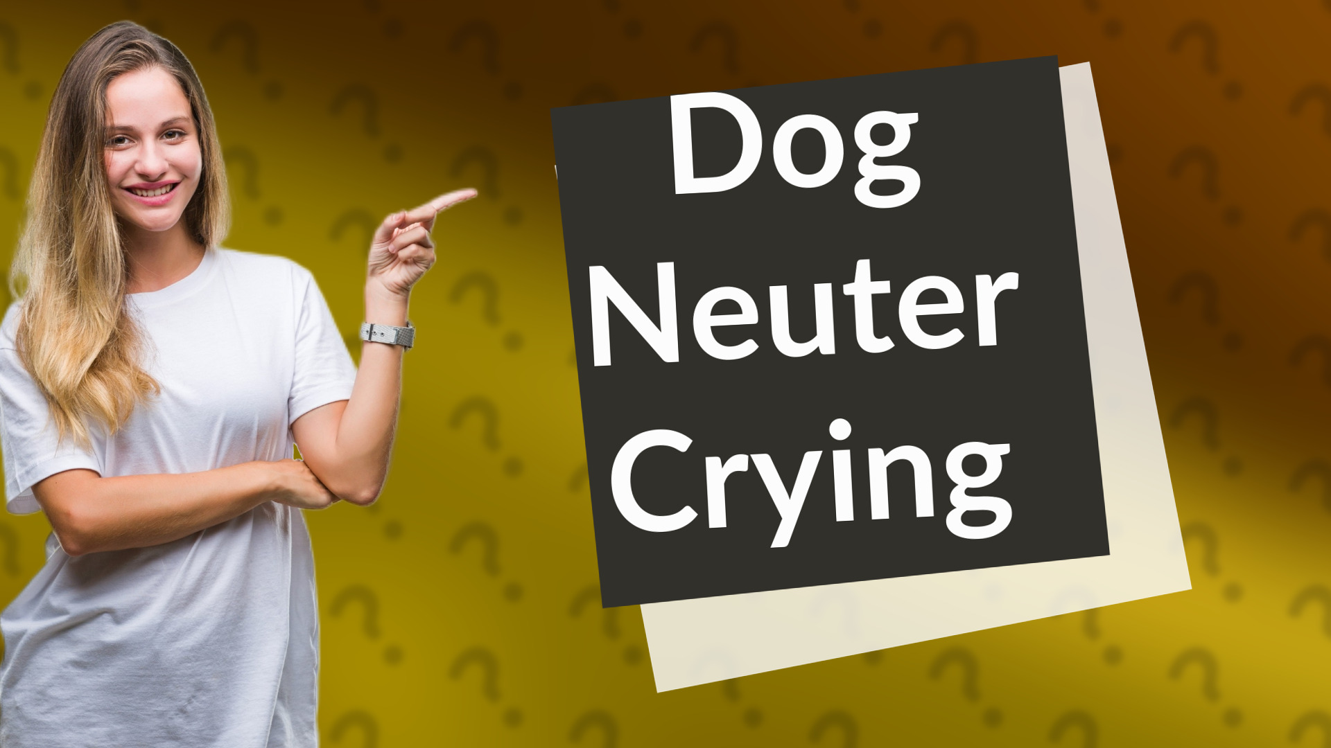 Dog Neuter Crying
