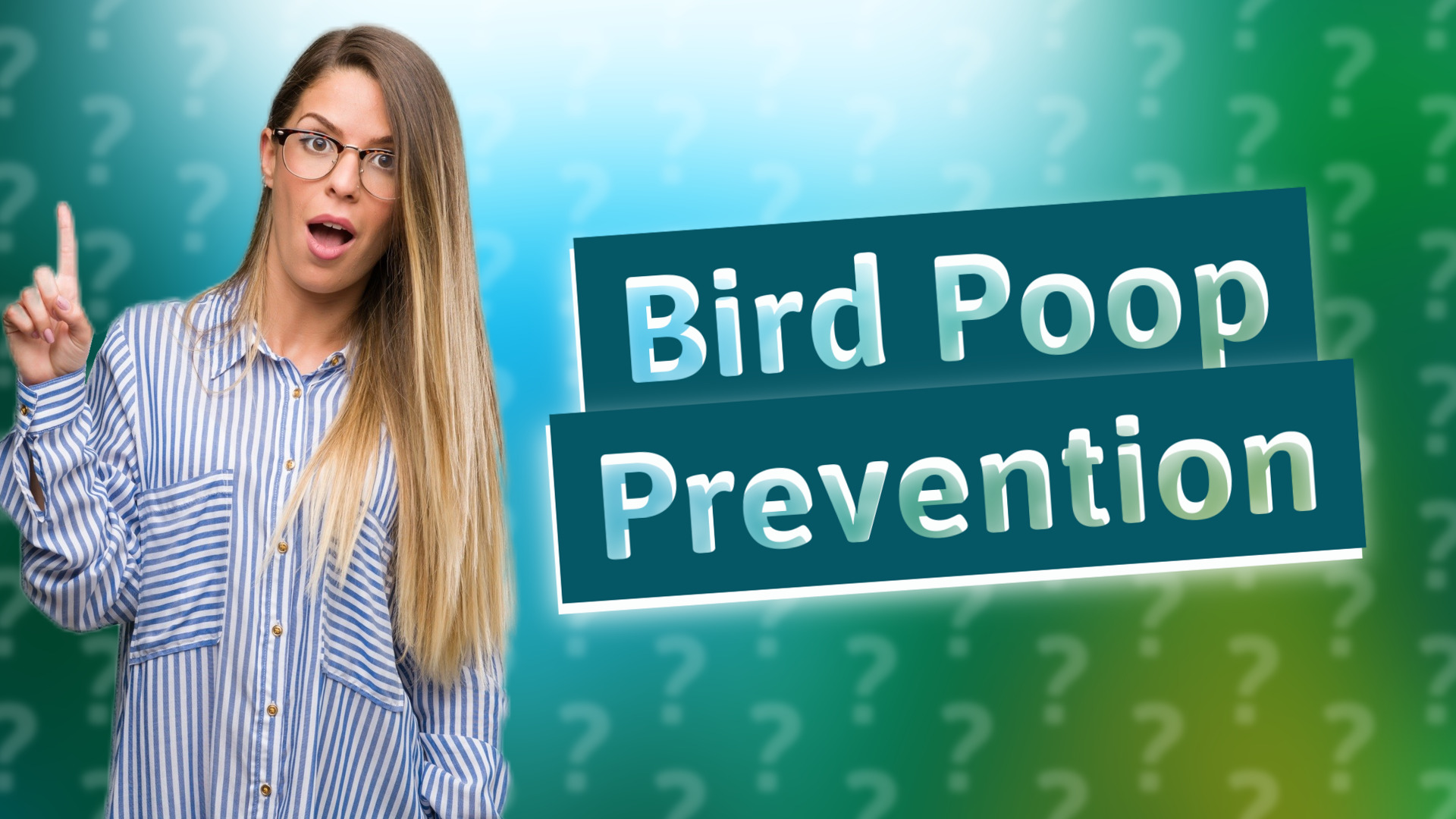 Bird Poop Prevention