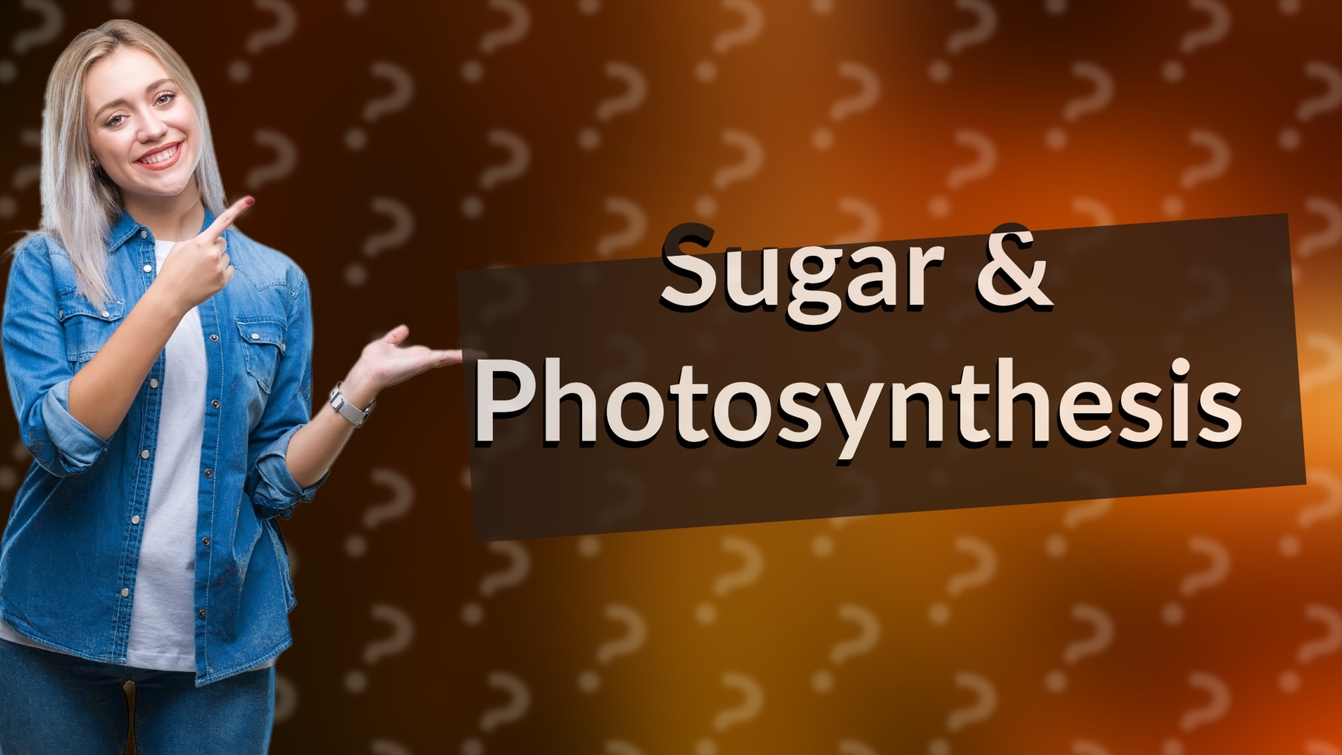 Sugar & Photosynthesis