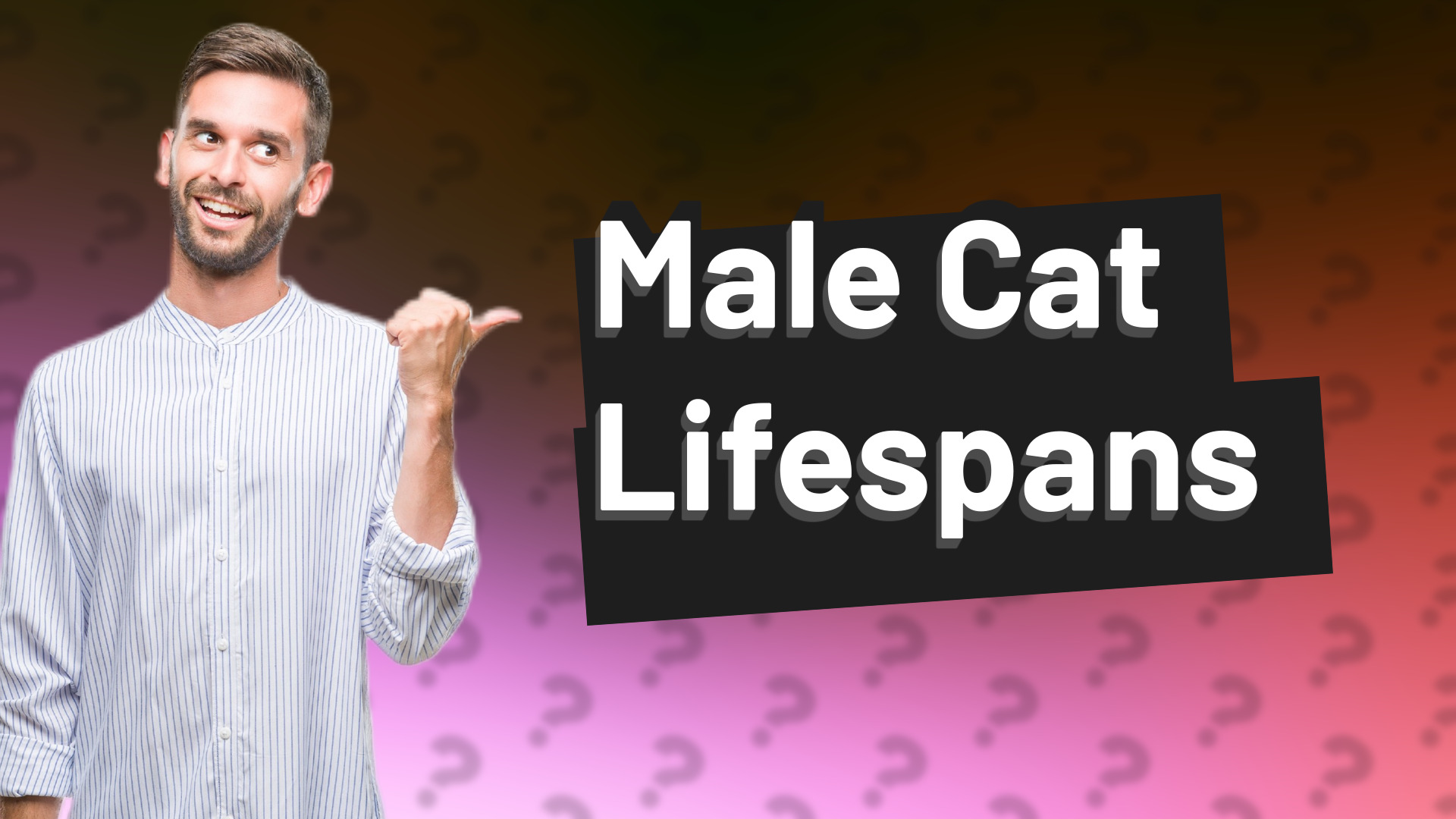 Male Cat Lifespans