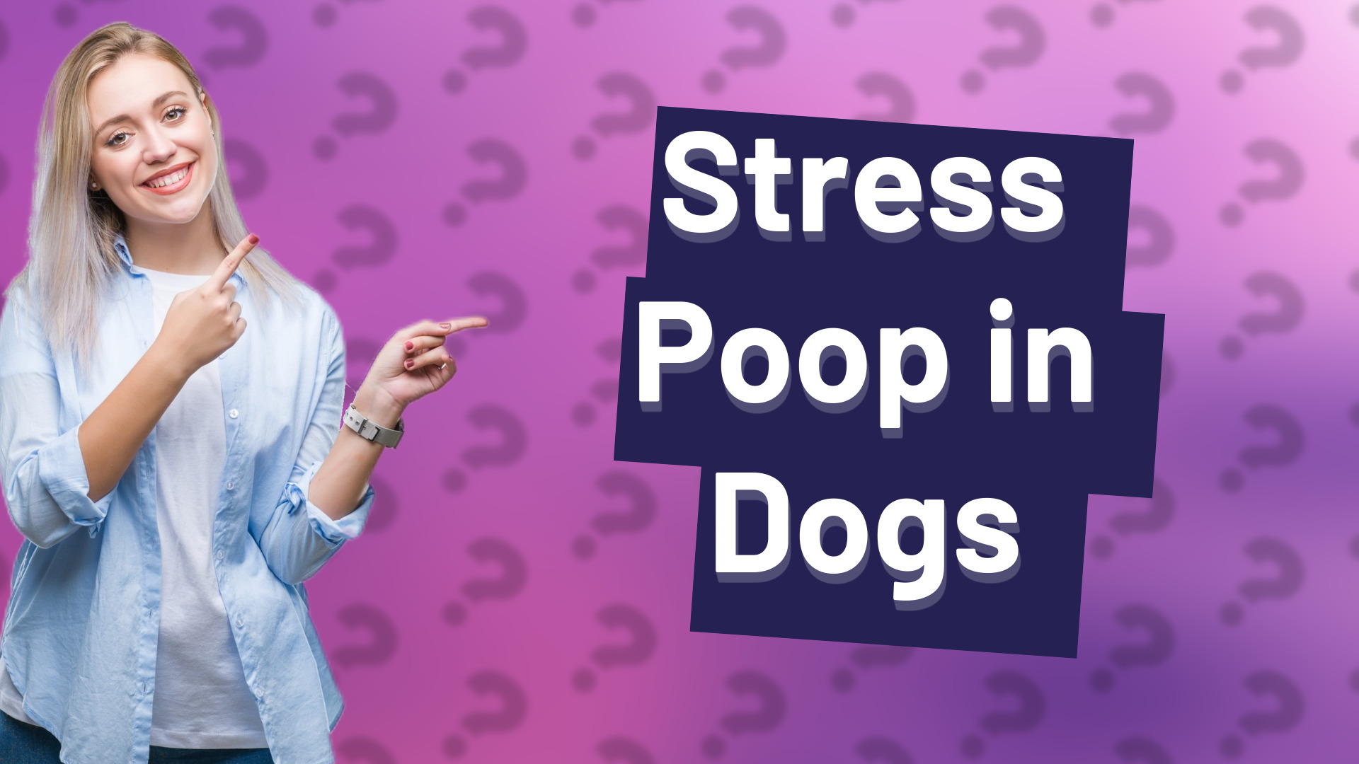 Stress Poop in Dogs