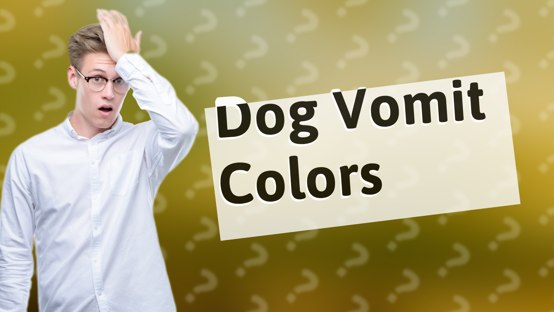 Dog Vomit Colors