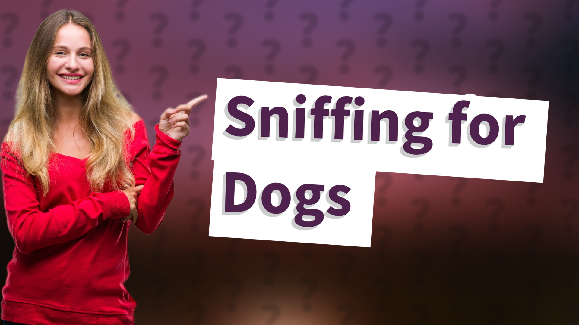 Sniffing for Dogs