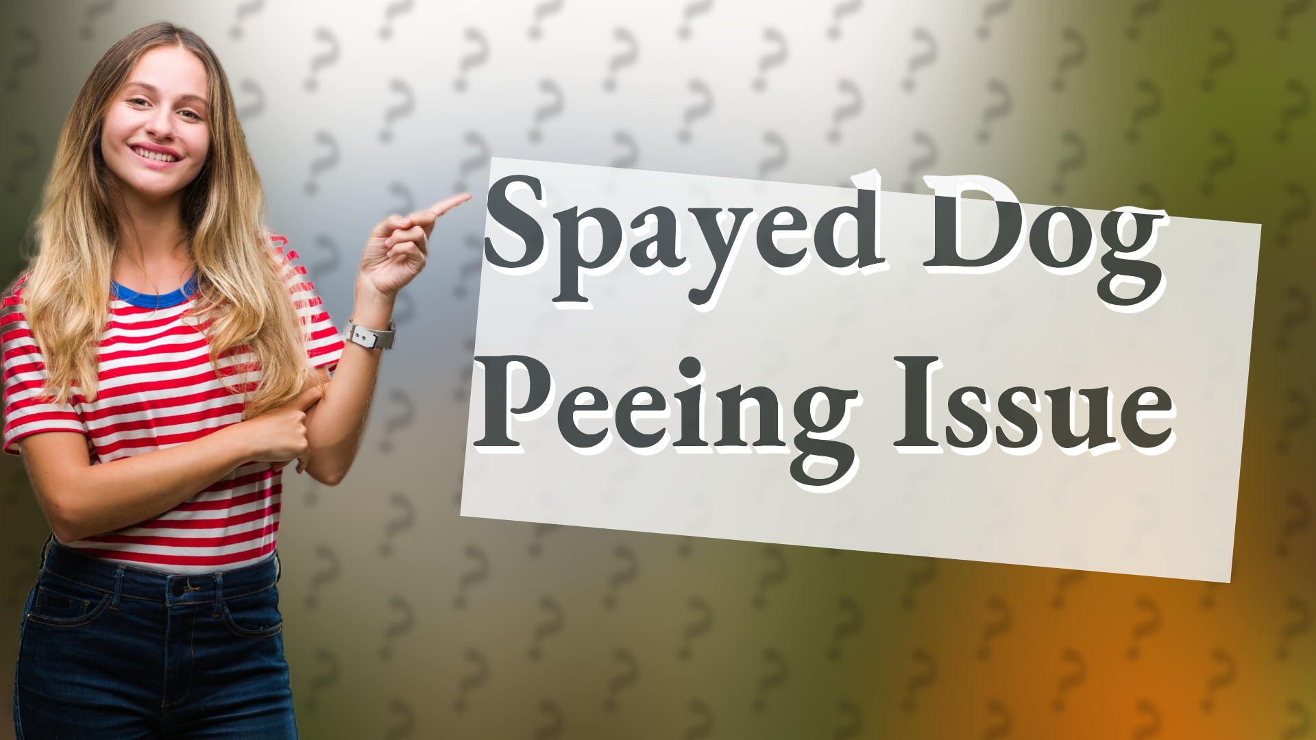 Spayed Dog Peeing Issue