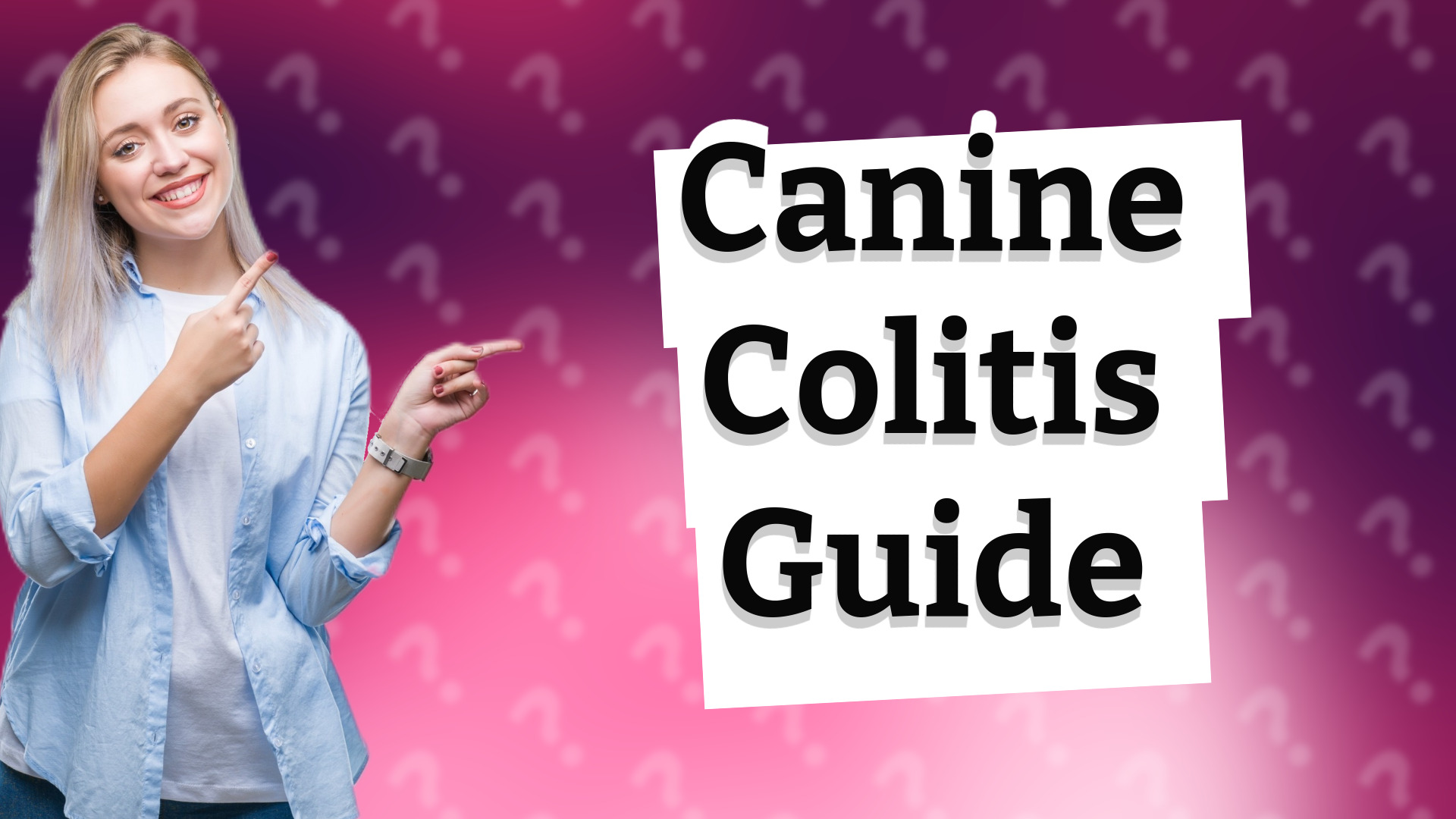 Canine Colitis Guide