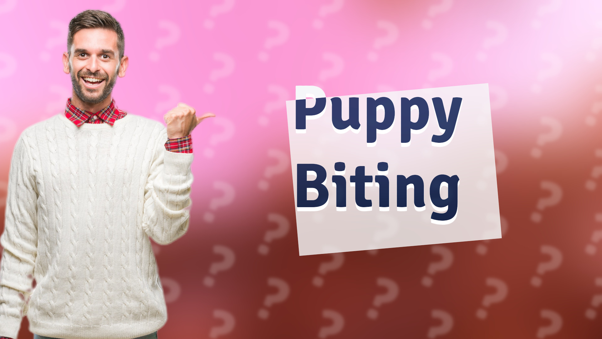 Puppy Biting