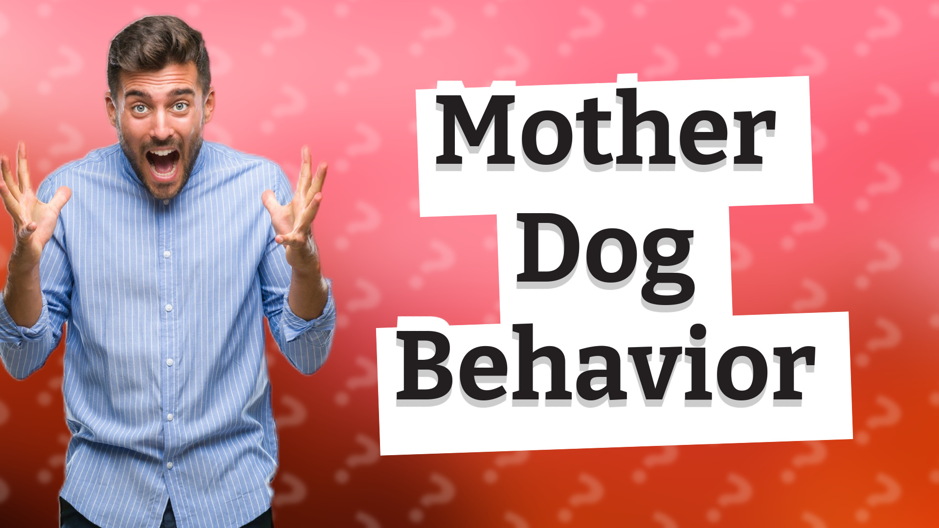 Mother Dog Behavior