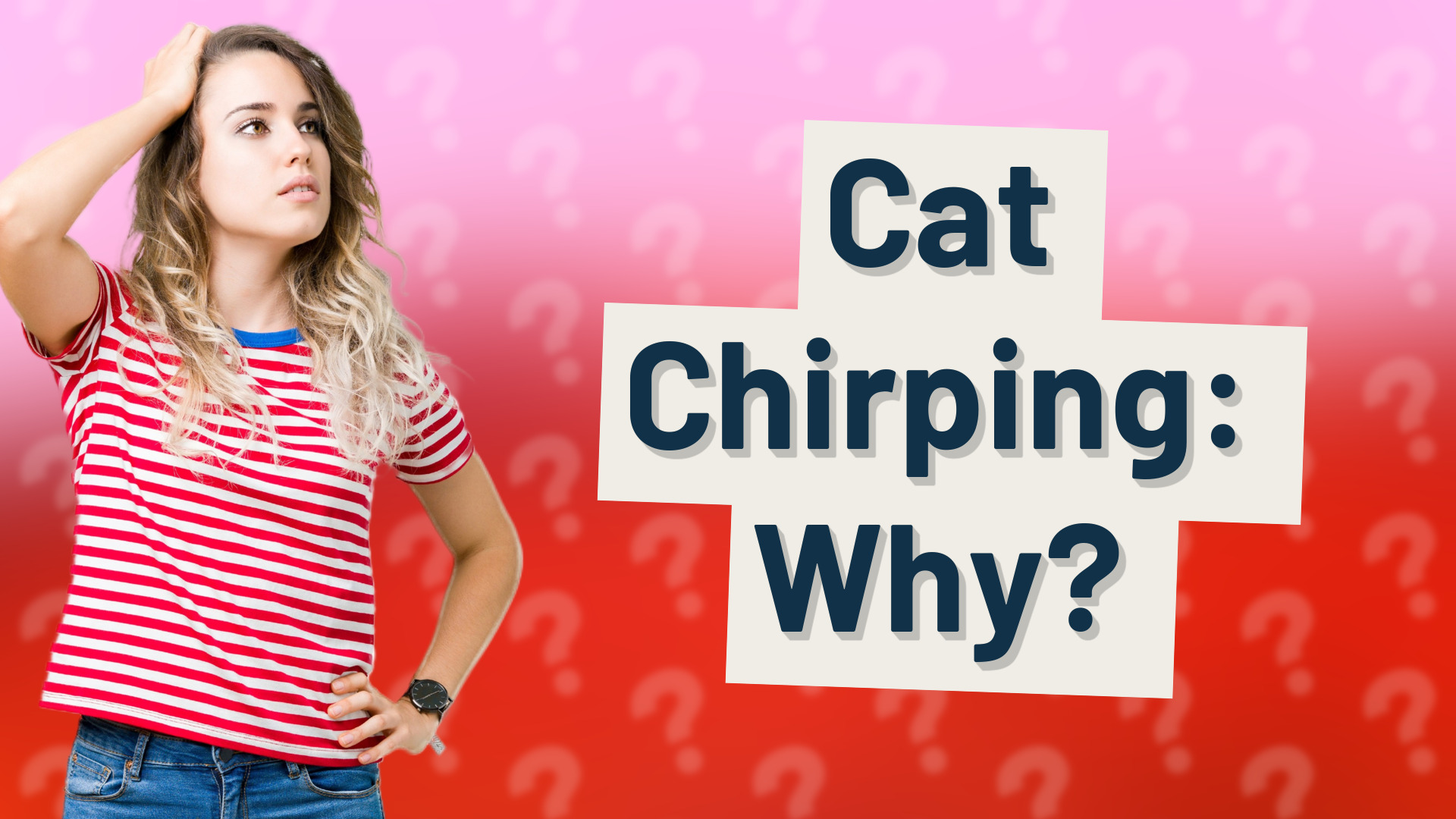 Cat Chirping: Why?
