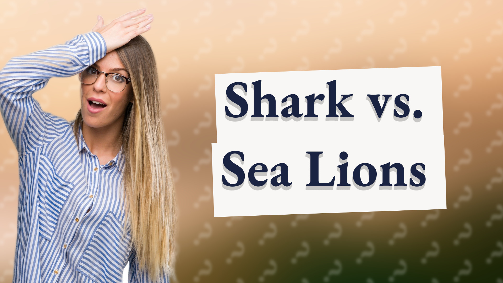 Shark vs. Sea Lions