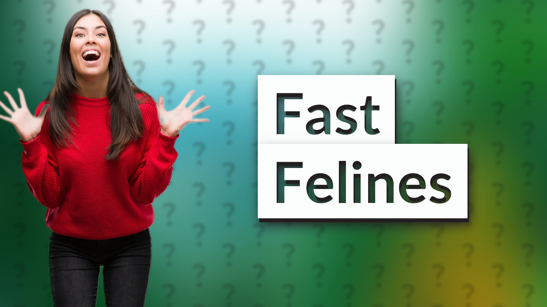 Fast Felines