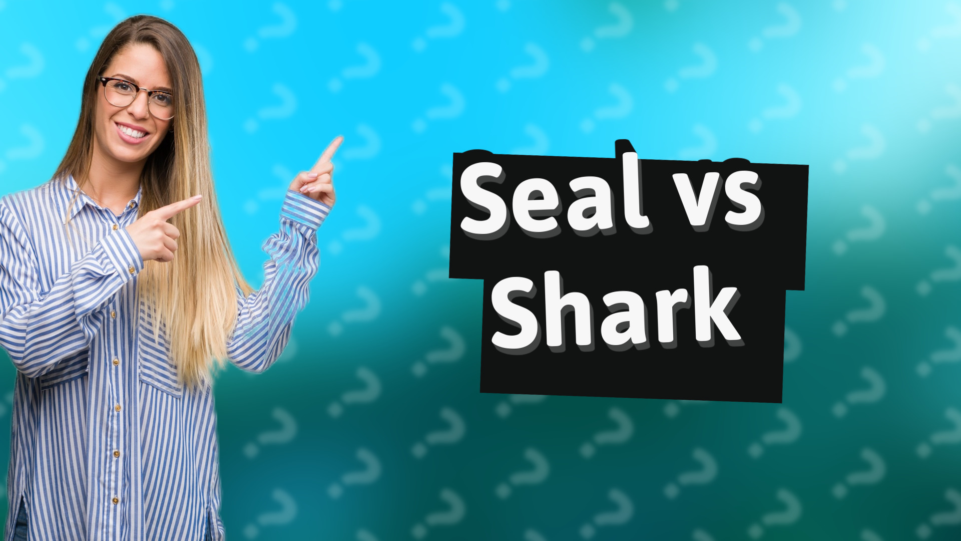 Seal vs Shark