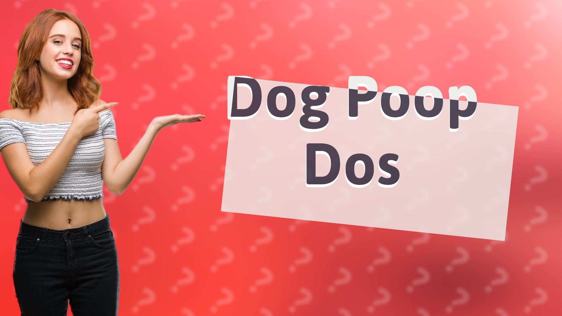 Dog Poop Dos