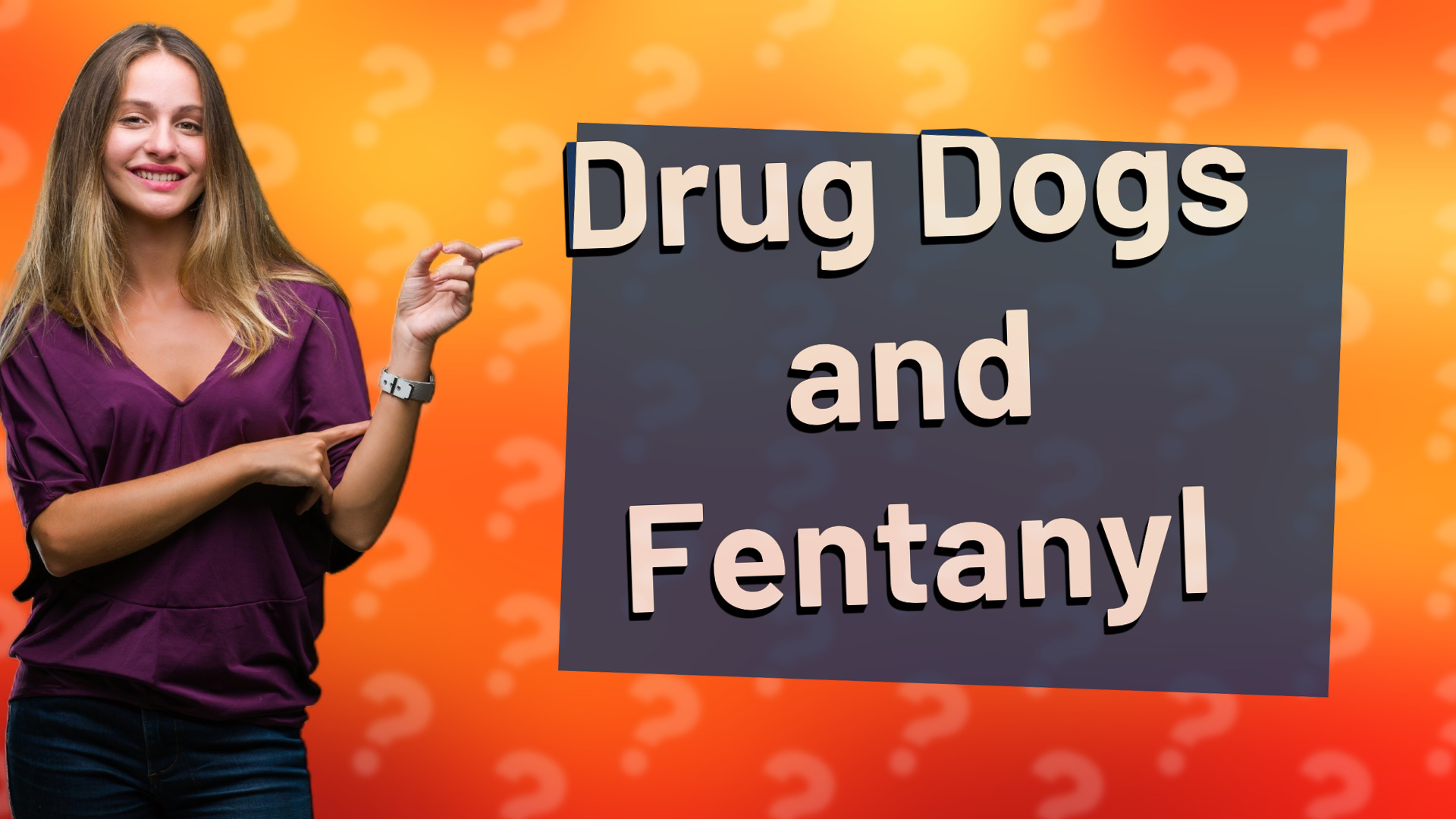 Drug Dogs and Fentanyl