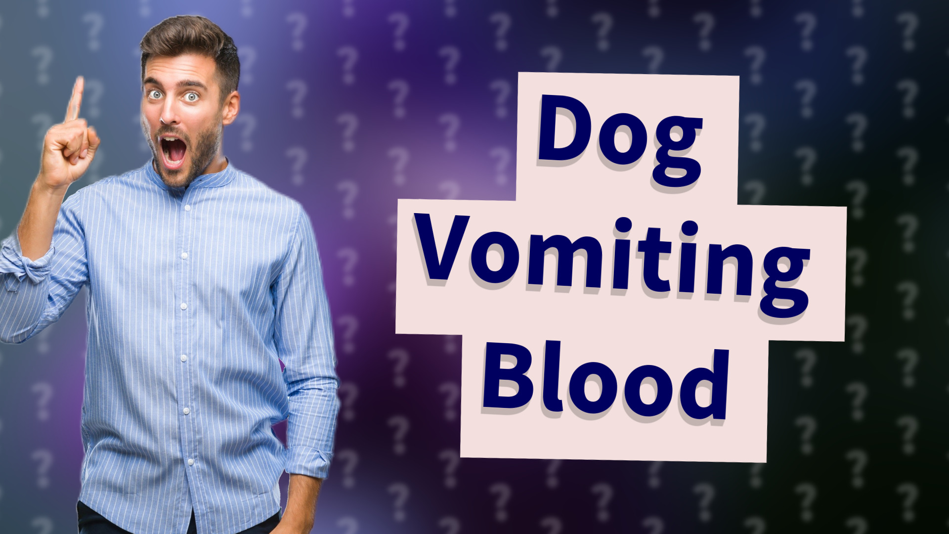 Dog Vomiting Blood