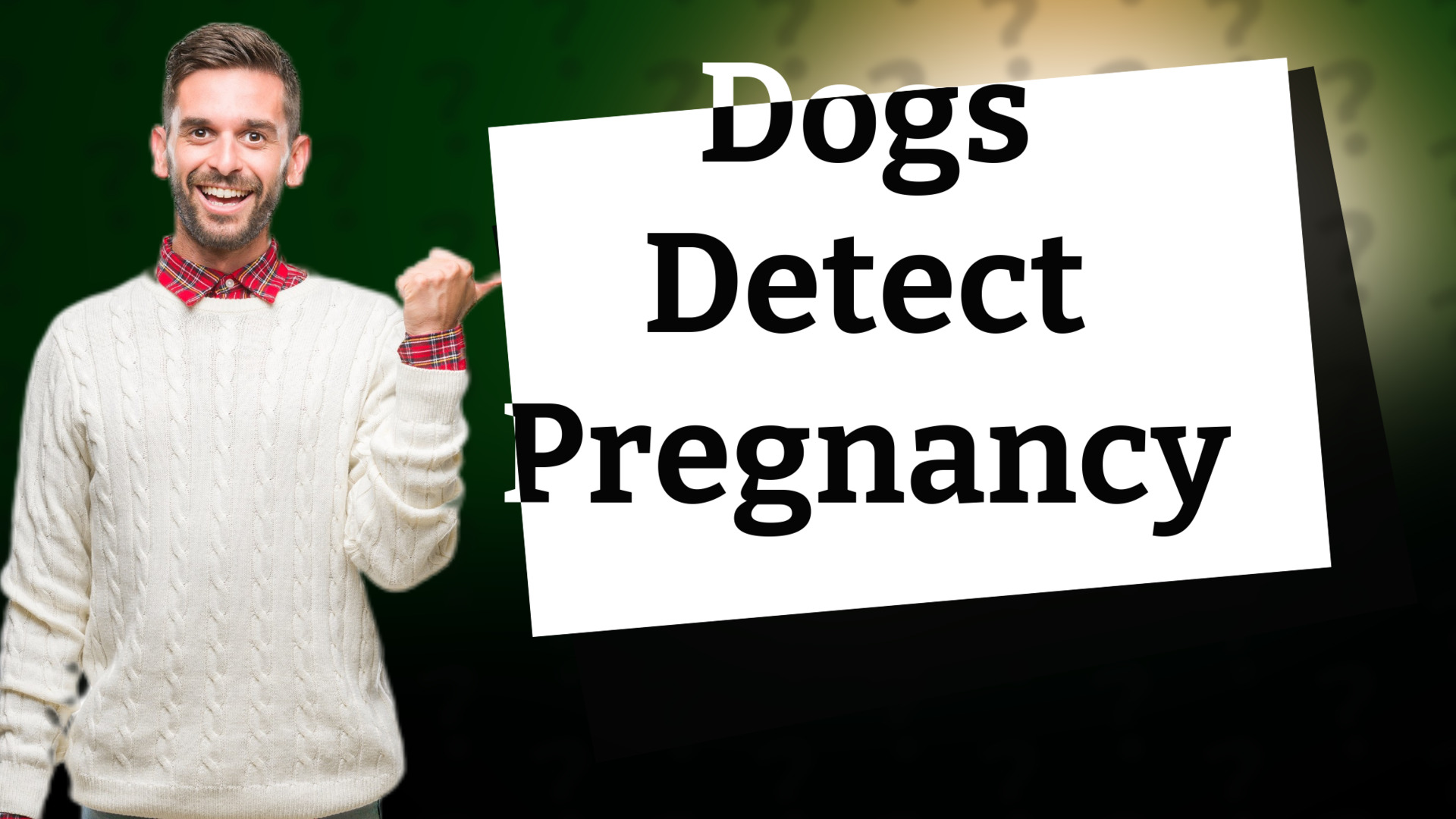 Dogs Detect Pregnancy