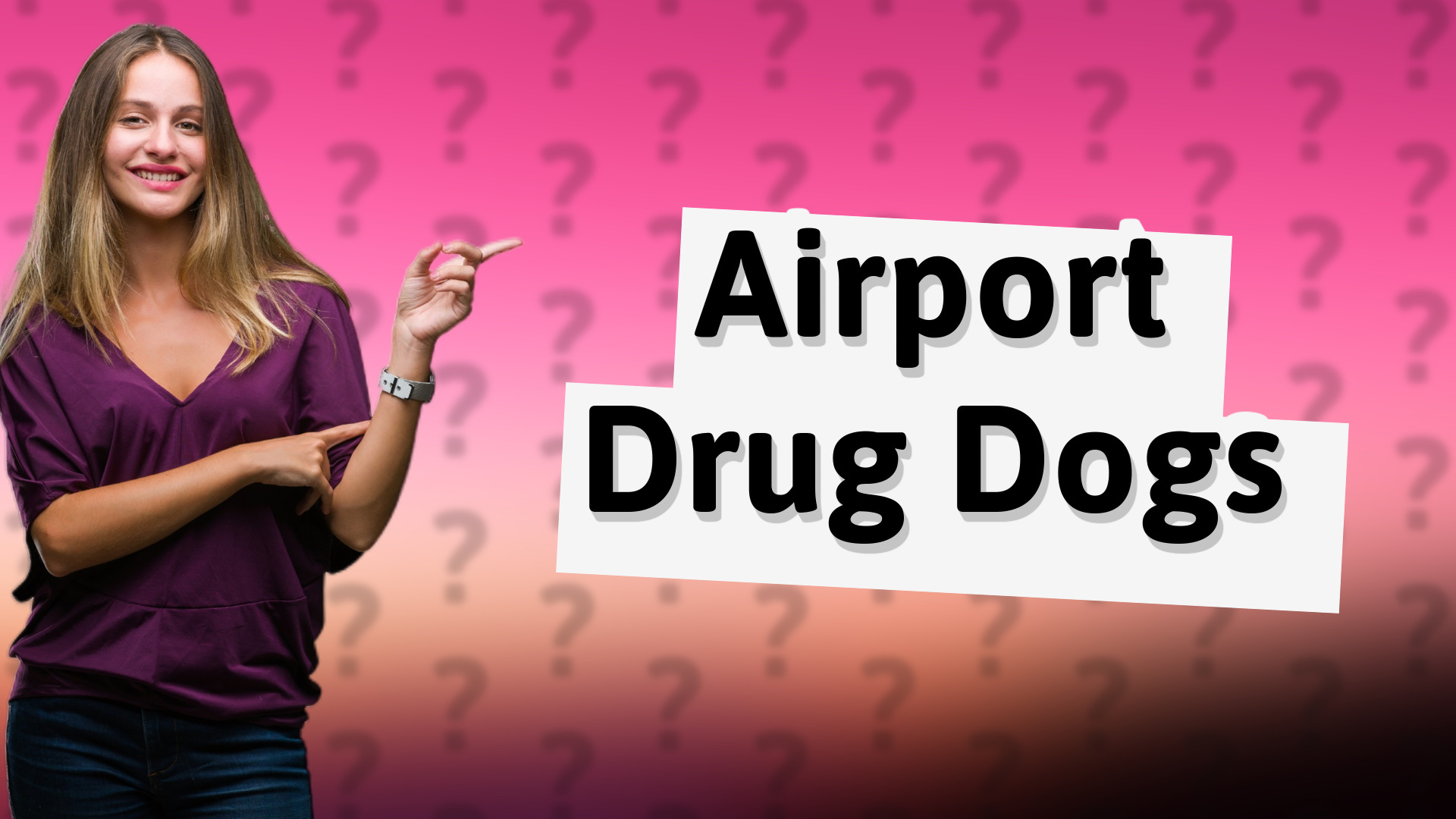 Airport Drug Dogs