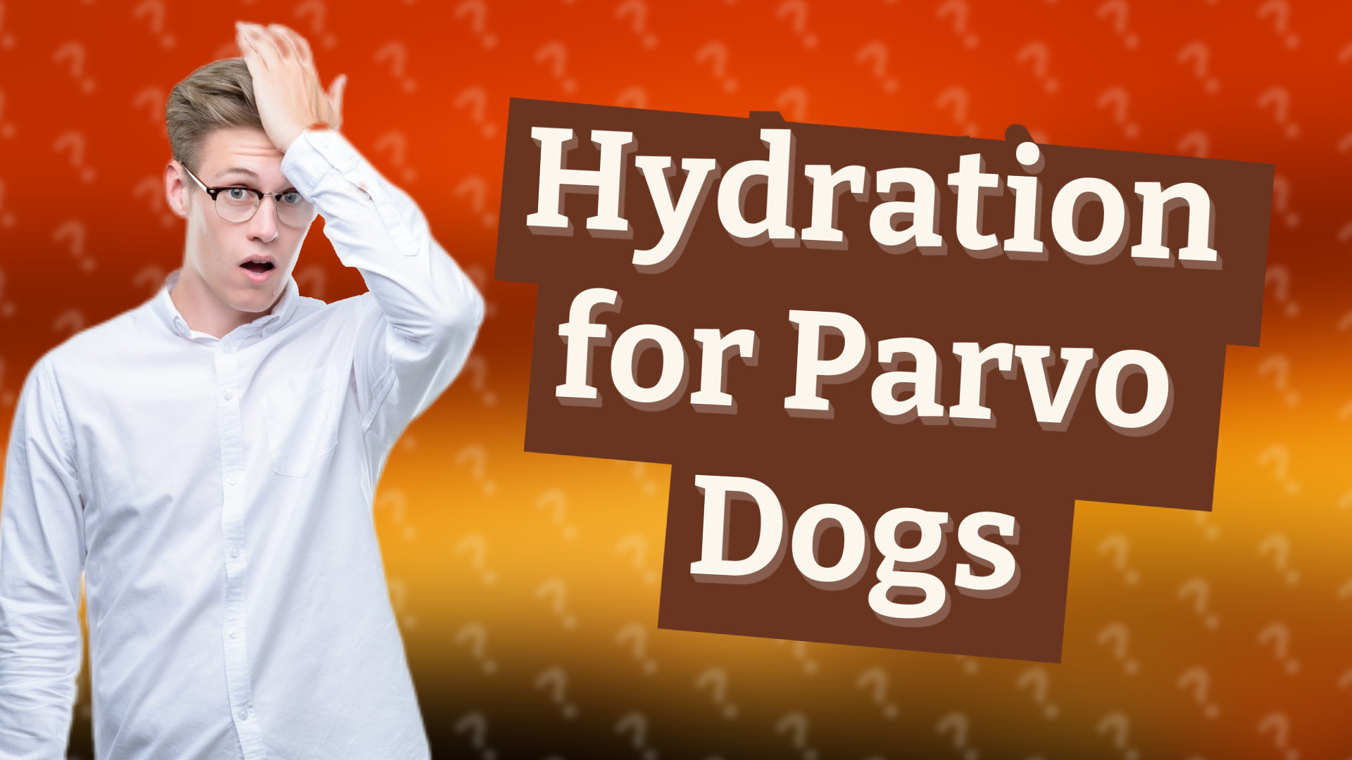 Hydration for Parvo Dogs