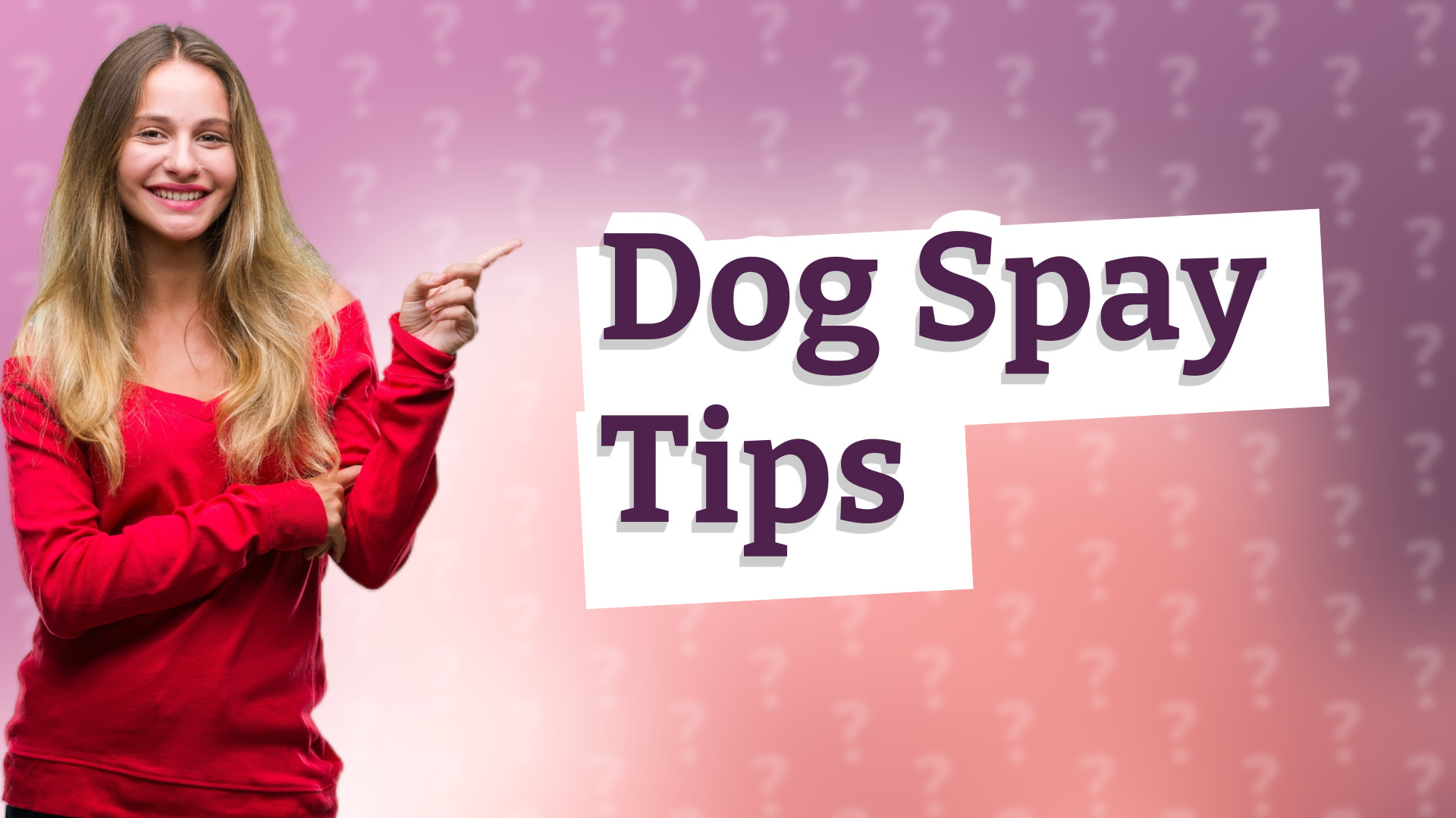Dog Spay Tips