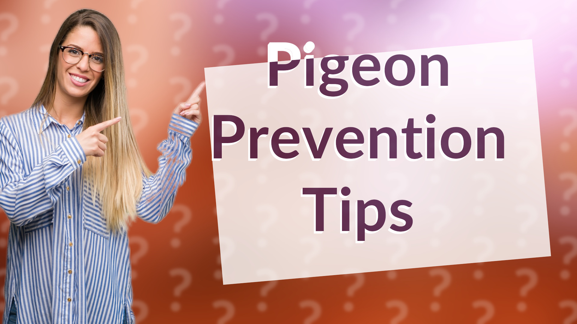 Pigeon Prevention Tips