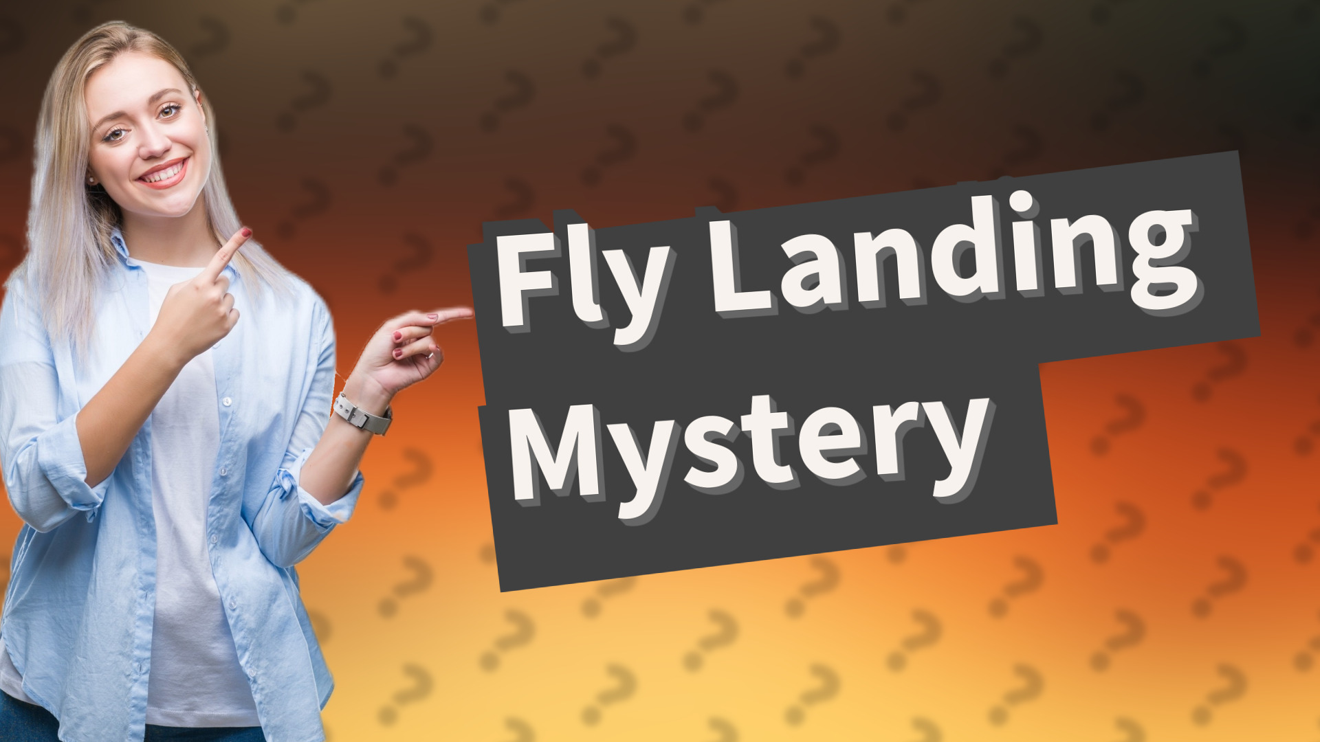 Fly Landing Mystery