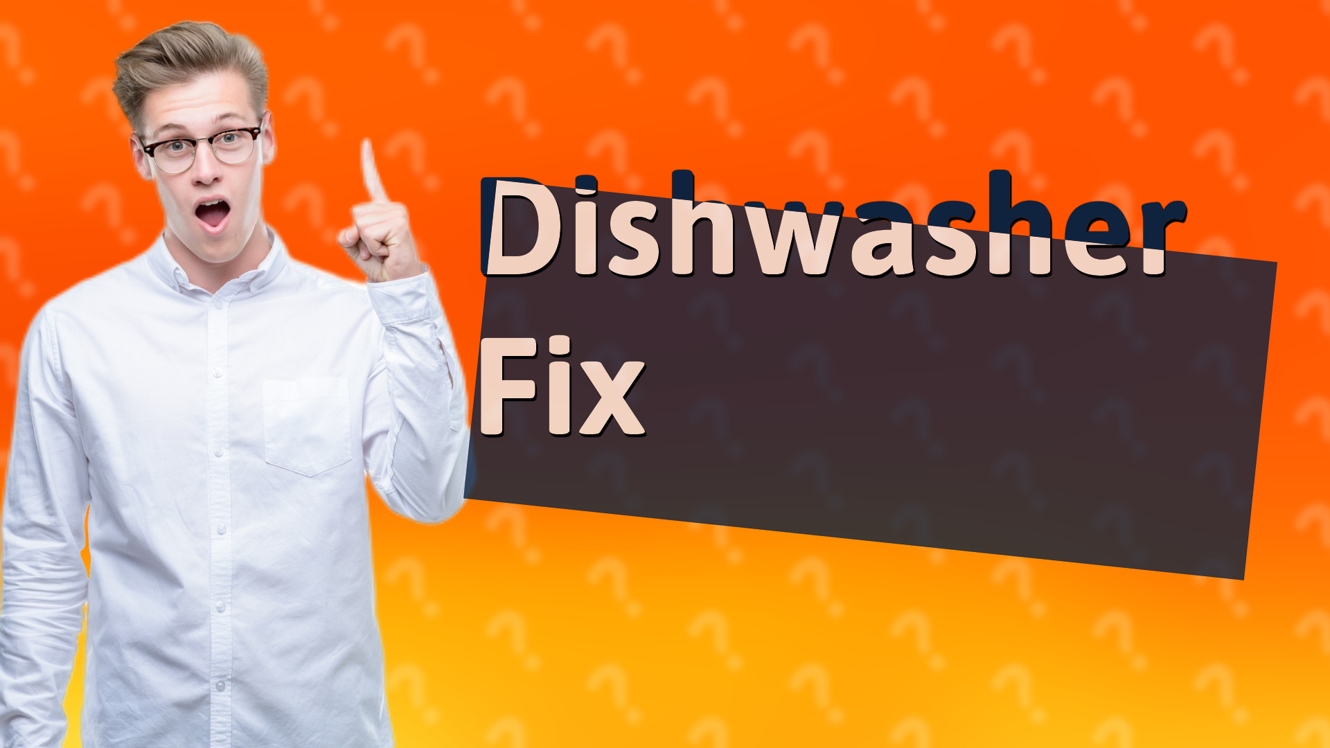 Dishwasher Fix