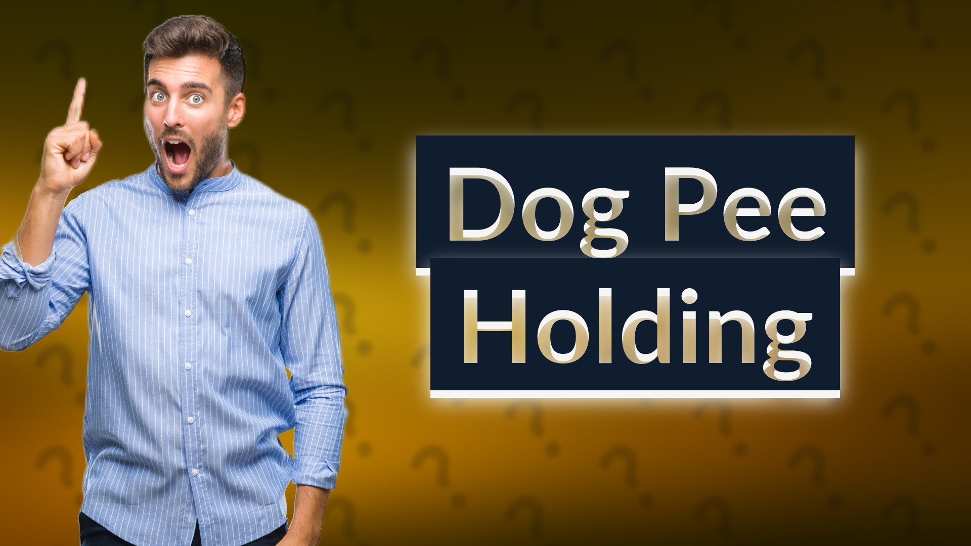 Dog Pee Holding