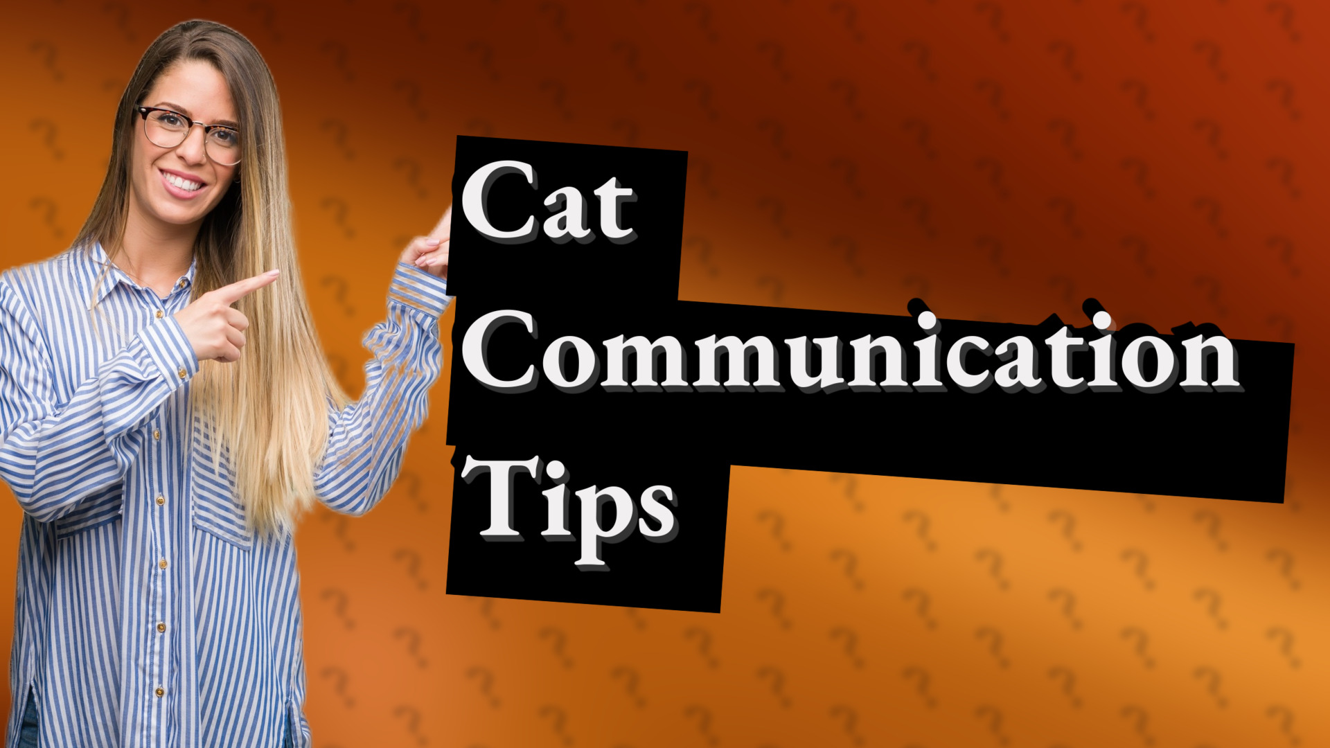 Cat Communication Tips